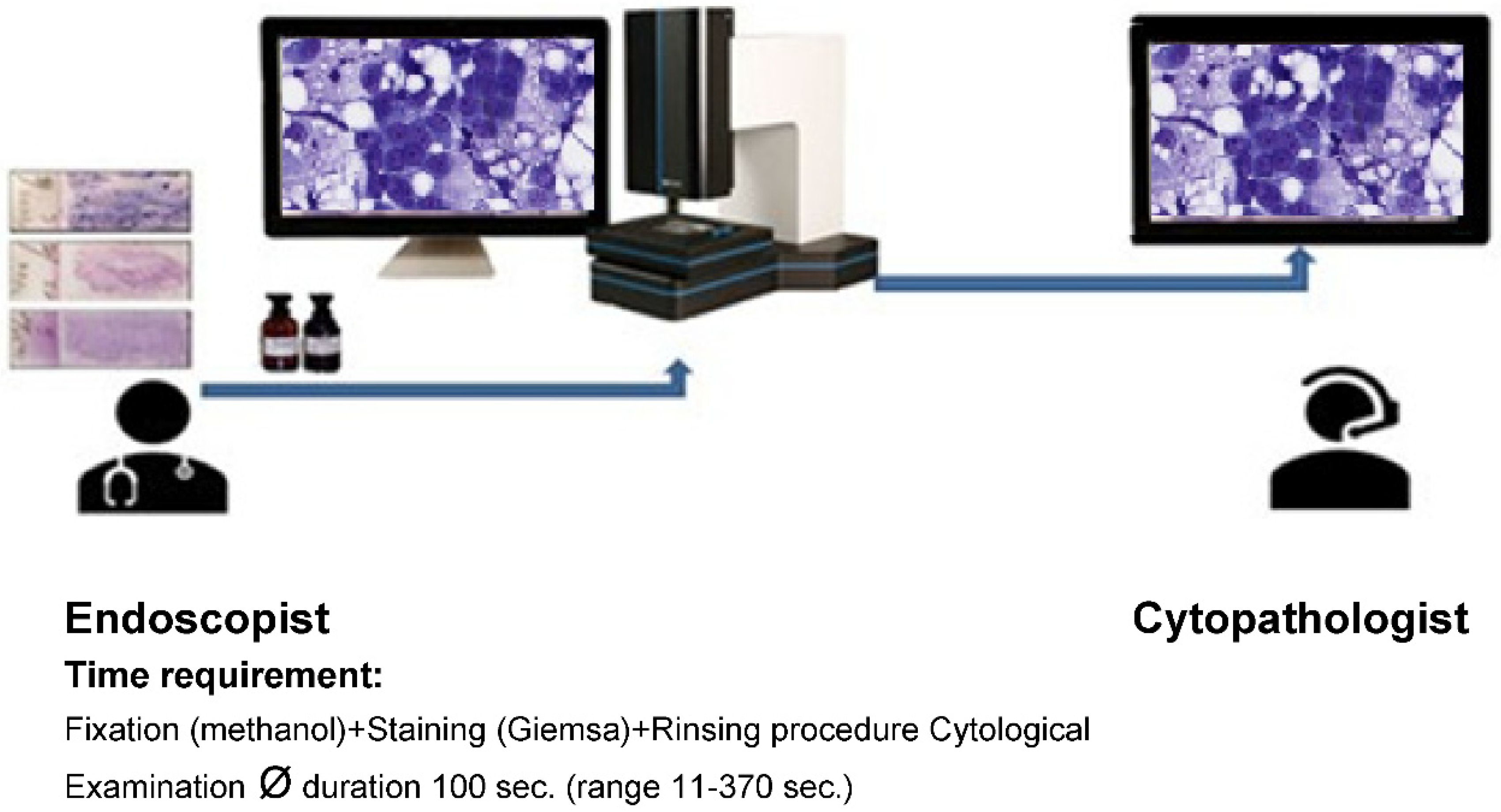 Preprints 86375 g002