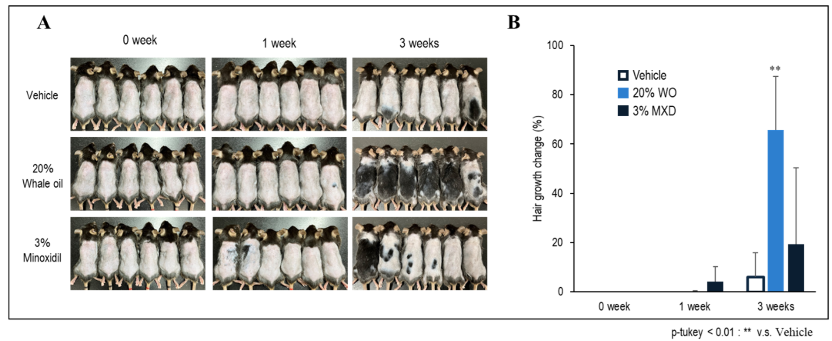 Preprints 104117 g004