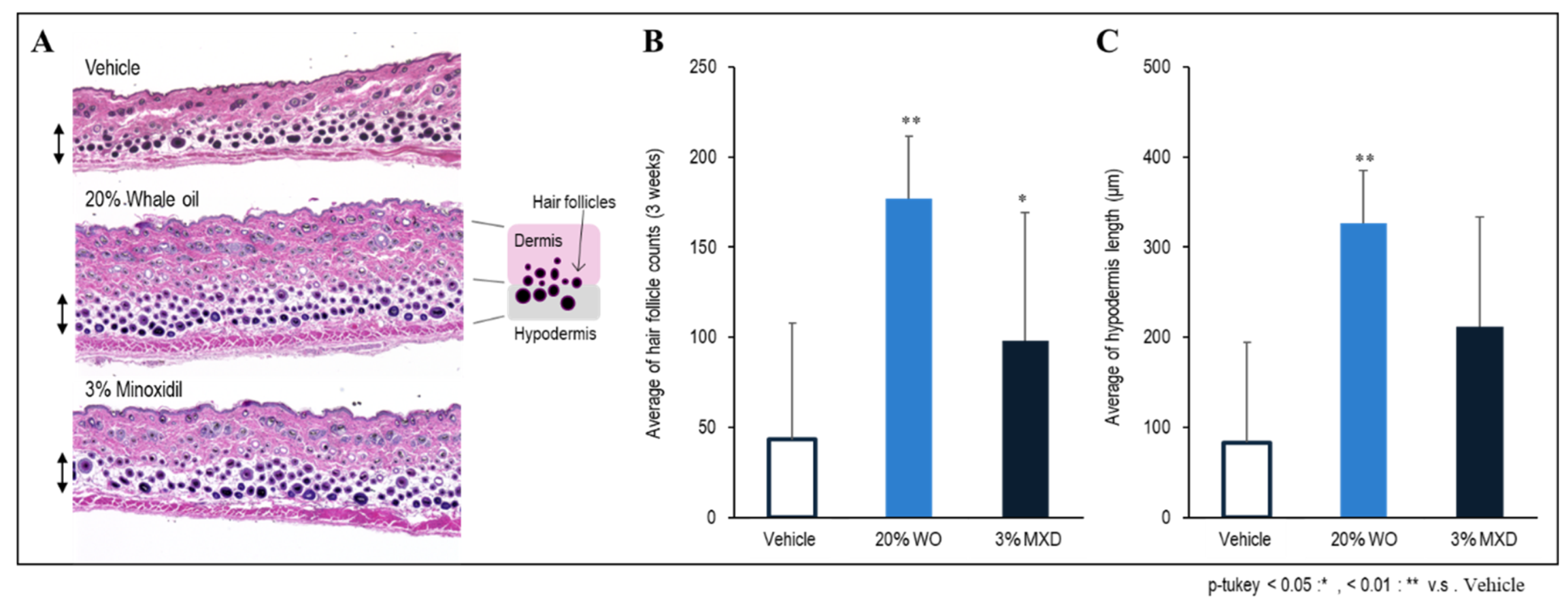 Preprints 104117 g005