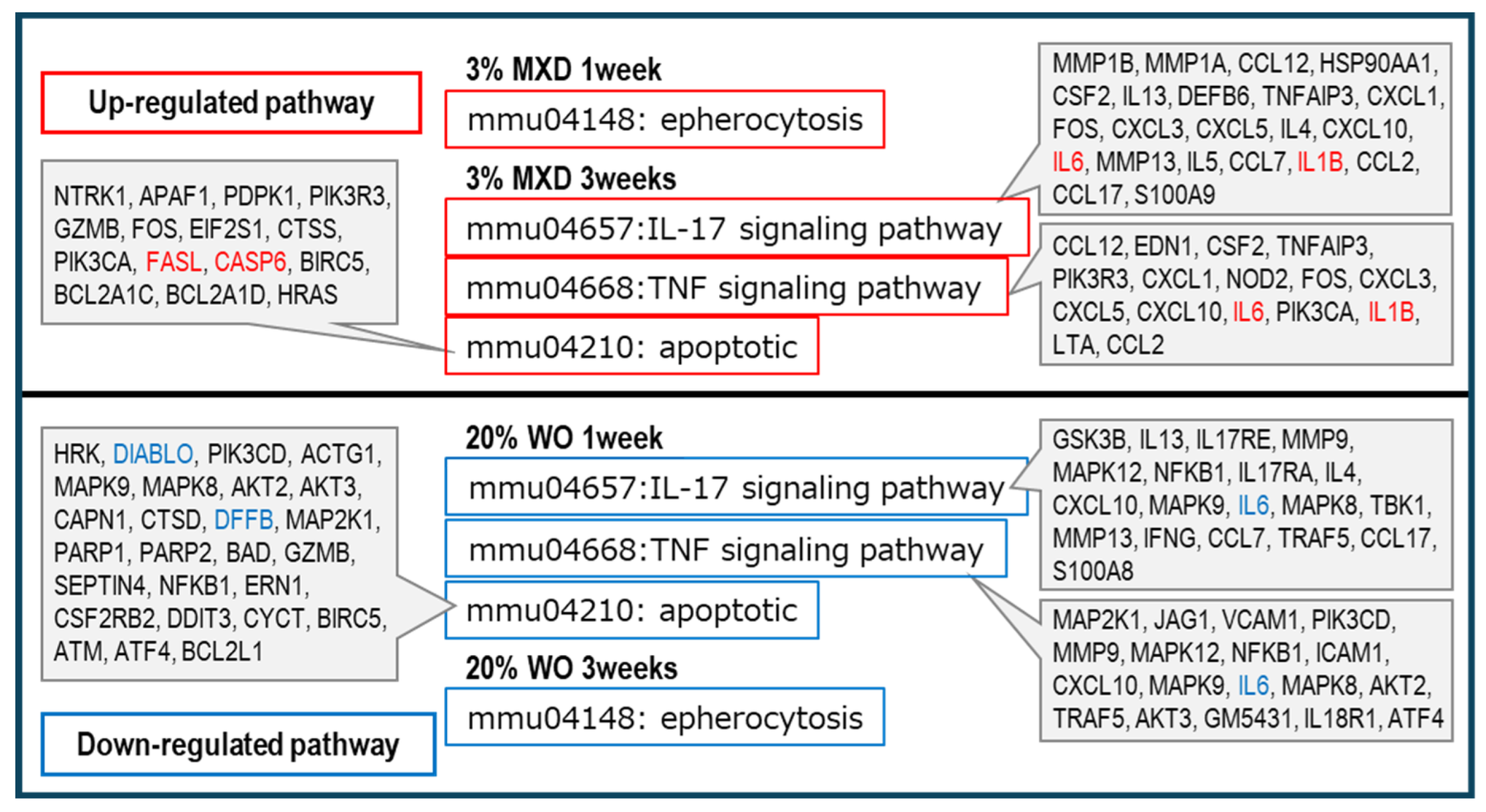 Preprints 104117 g008