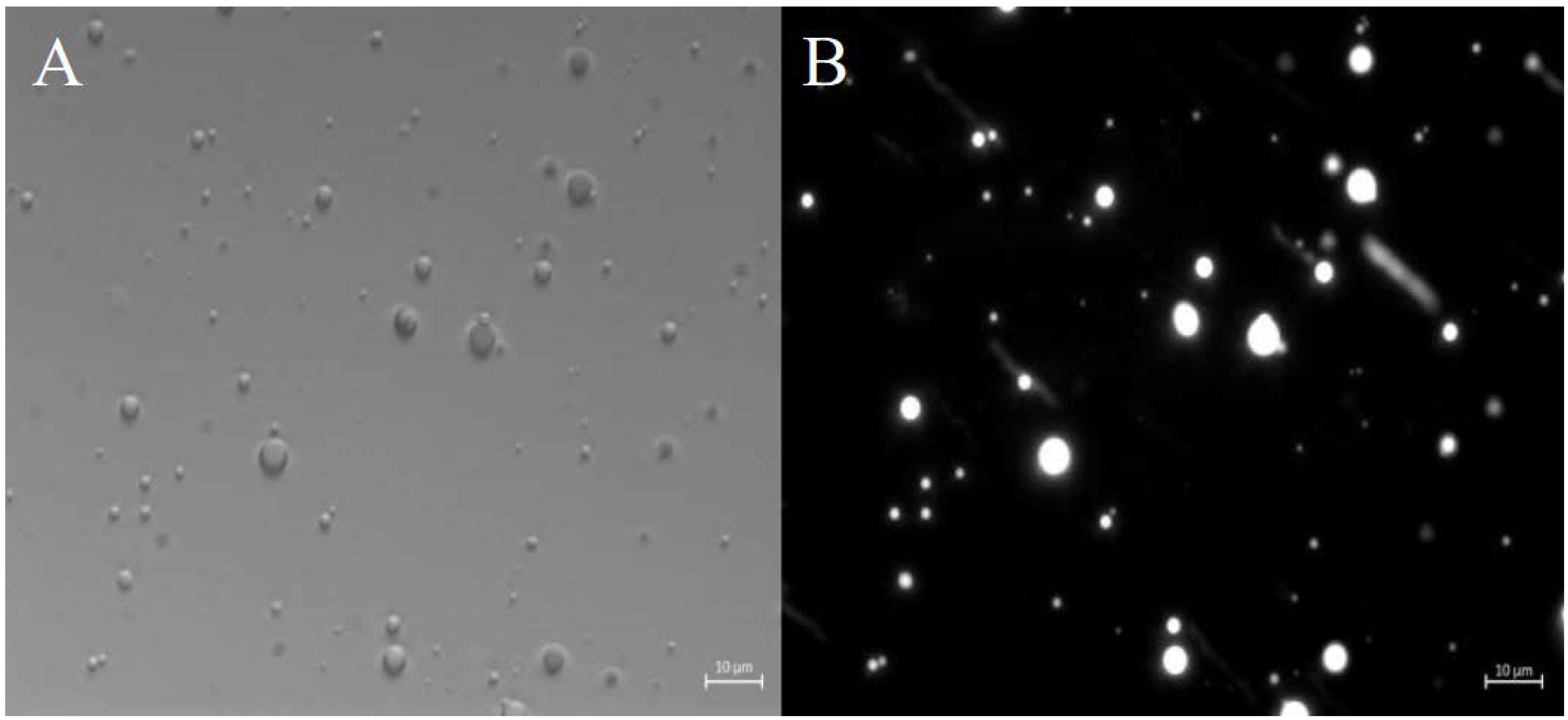 Preprints 113790 g004