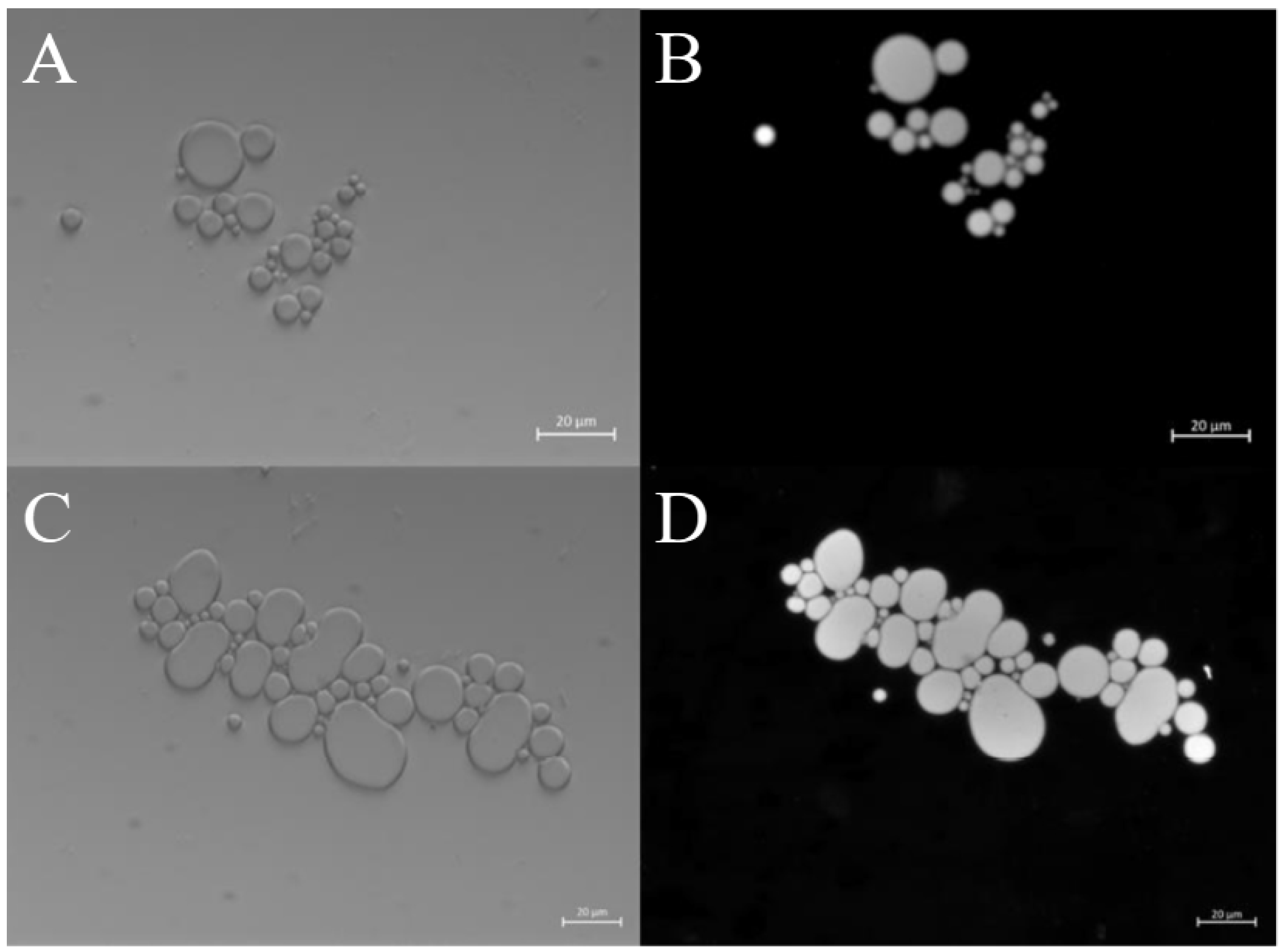 Preprints 113790 g005