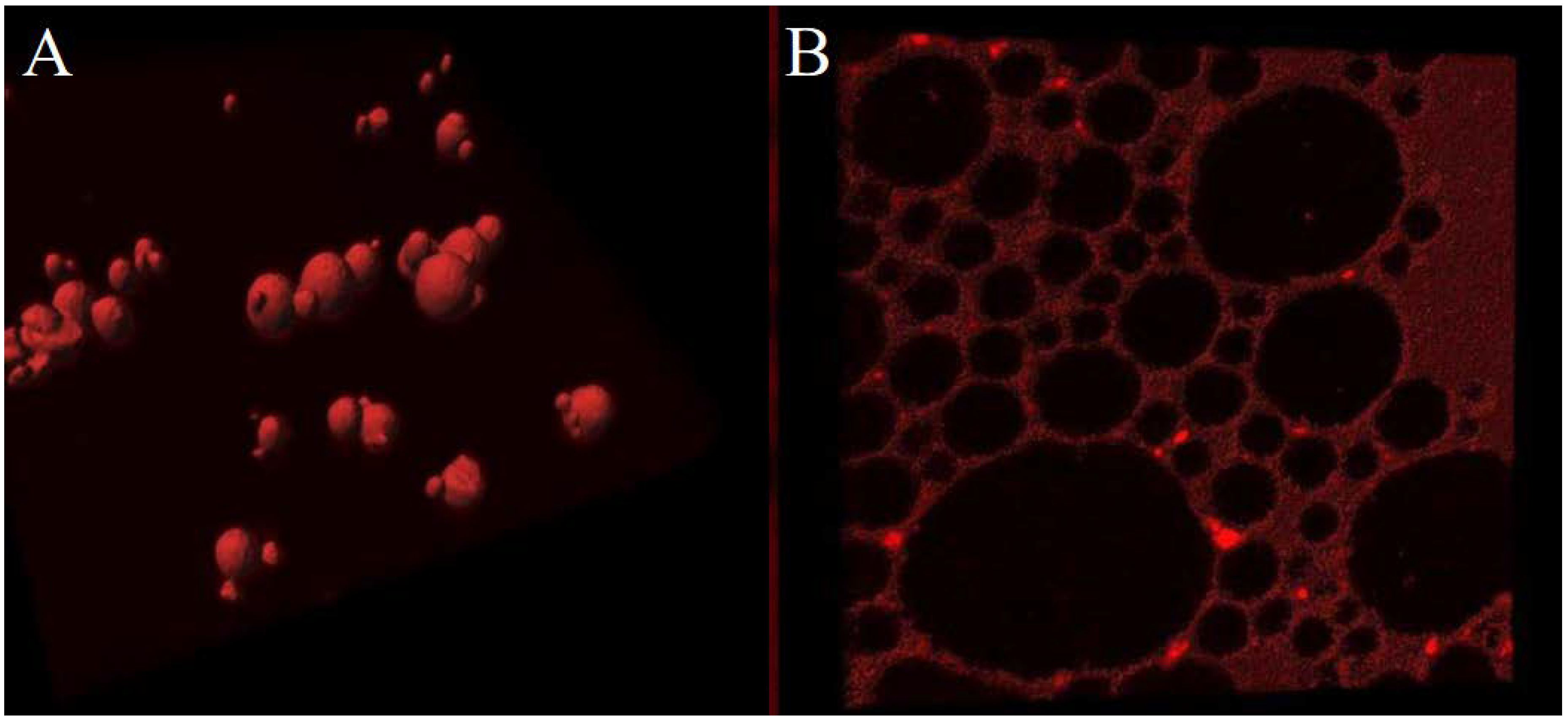 Preprints 113790 g006