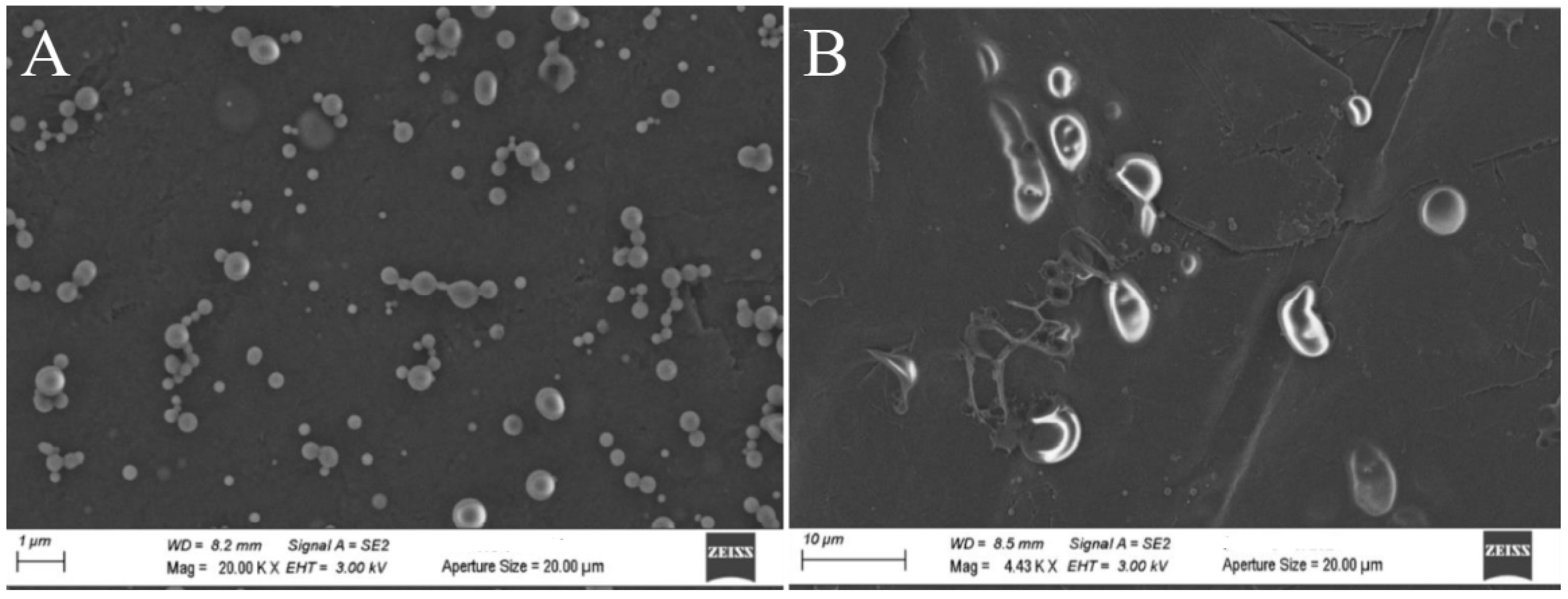 Preprints 113790 g007