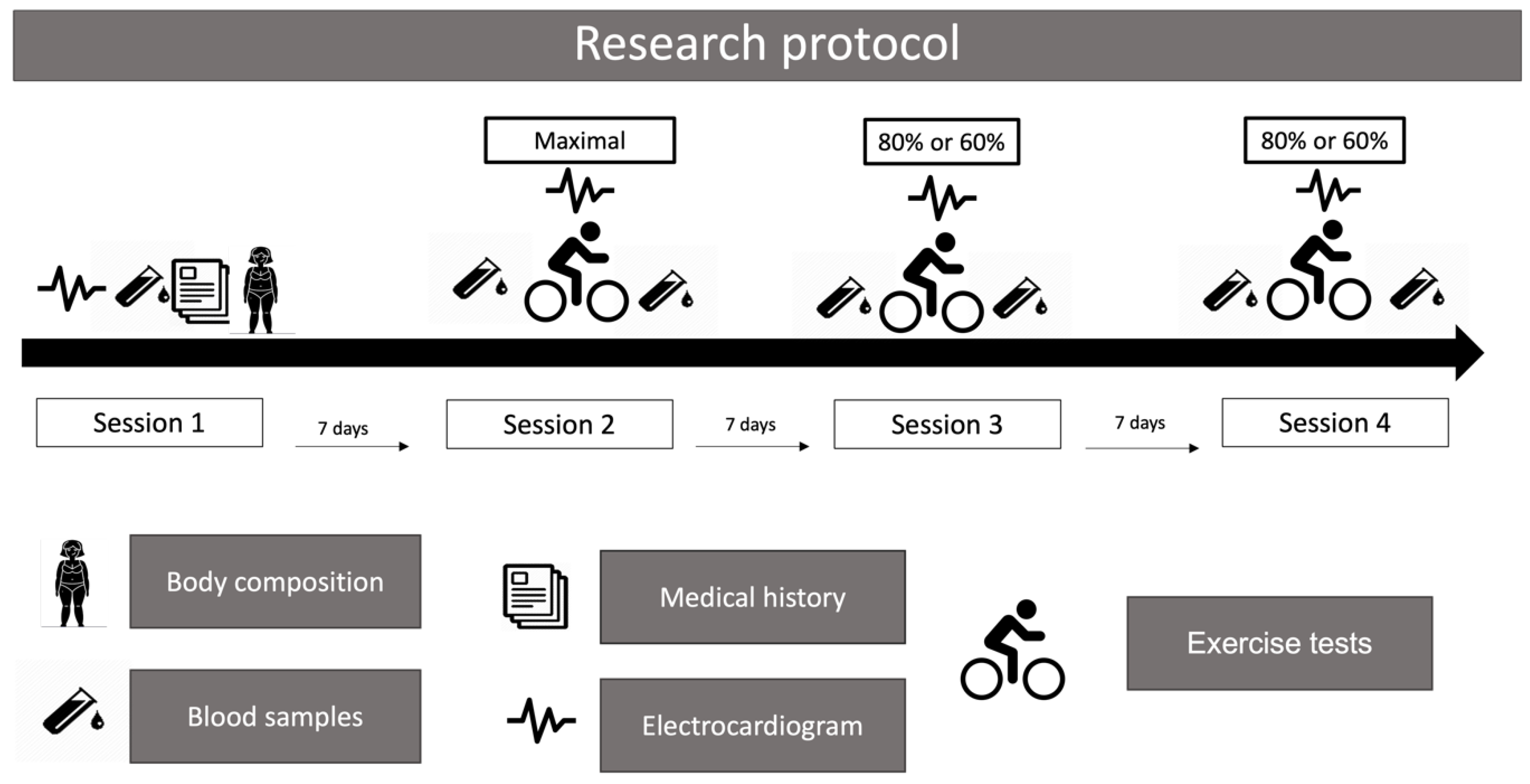 Preprints 118049 g002