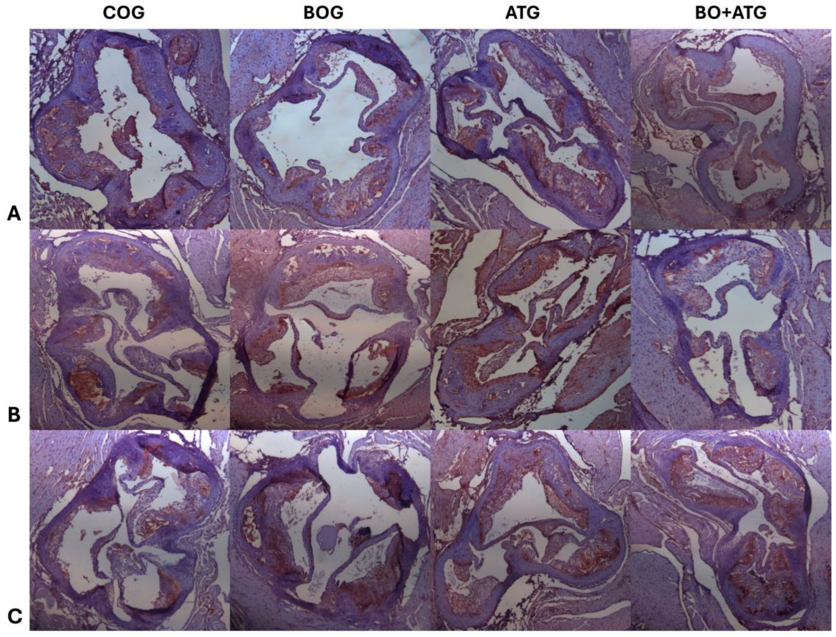 Preprints 106428 g003