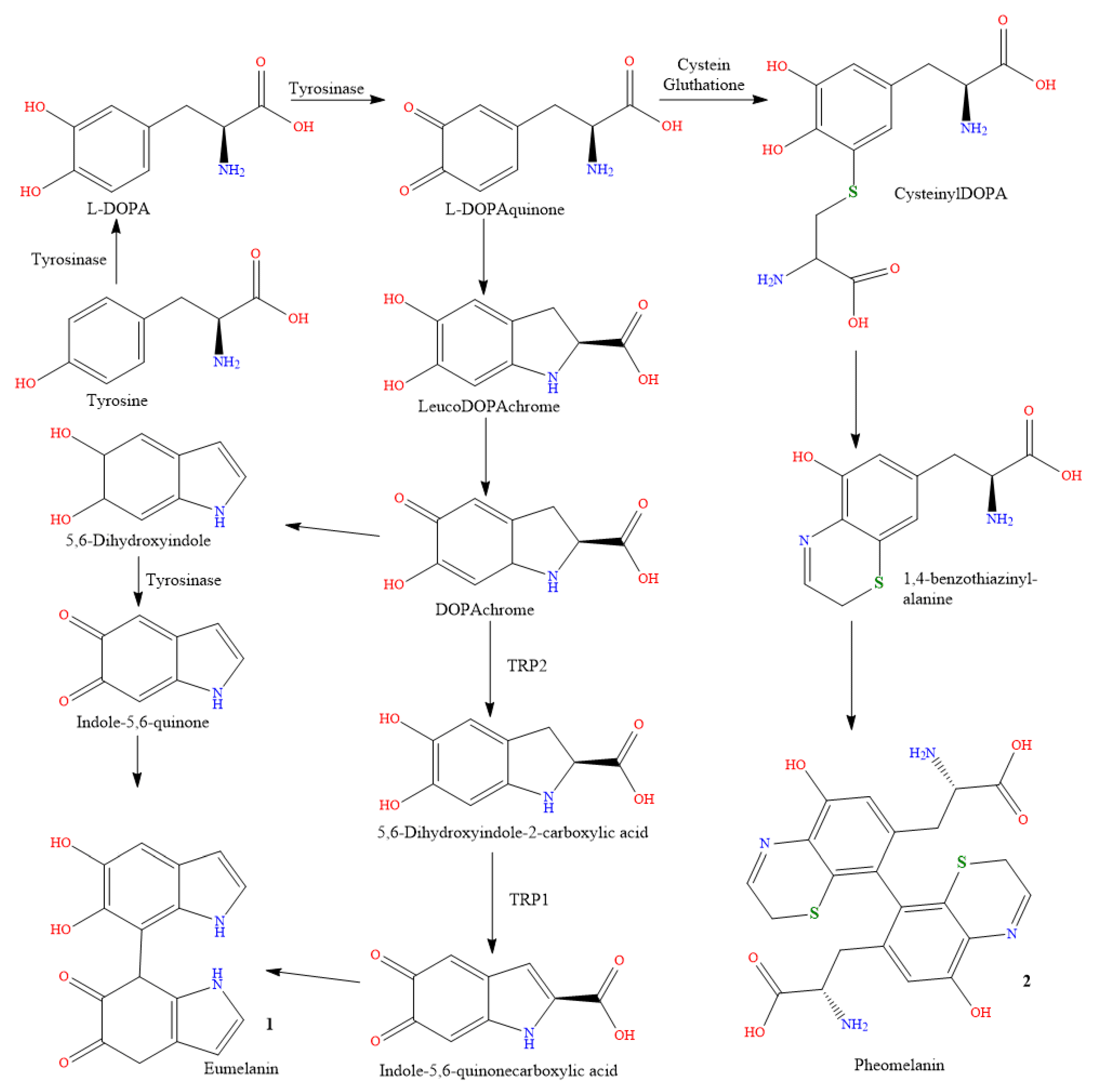 Preprints 72931 g001