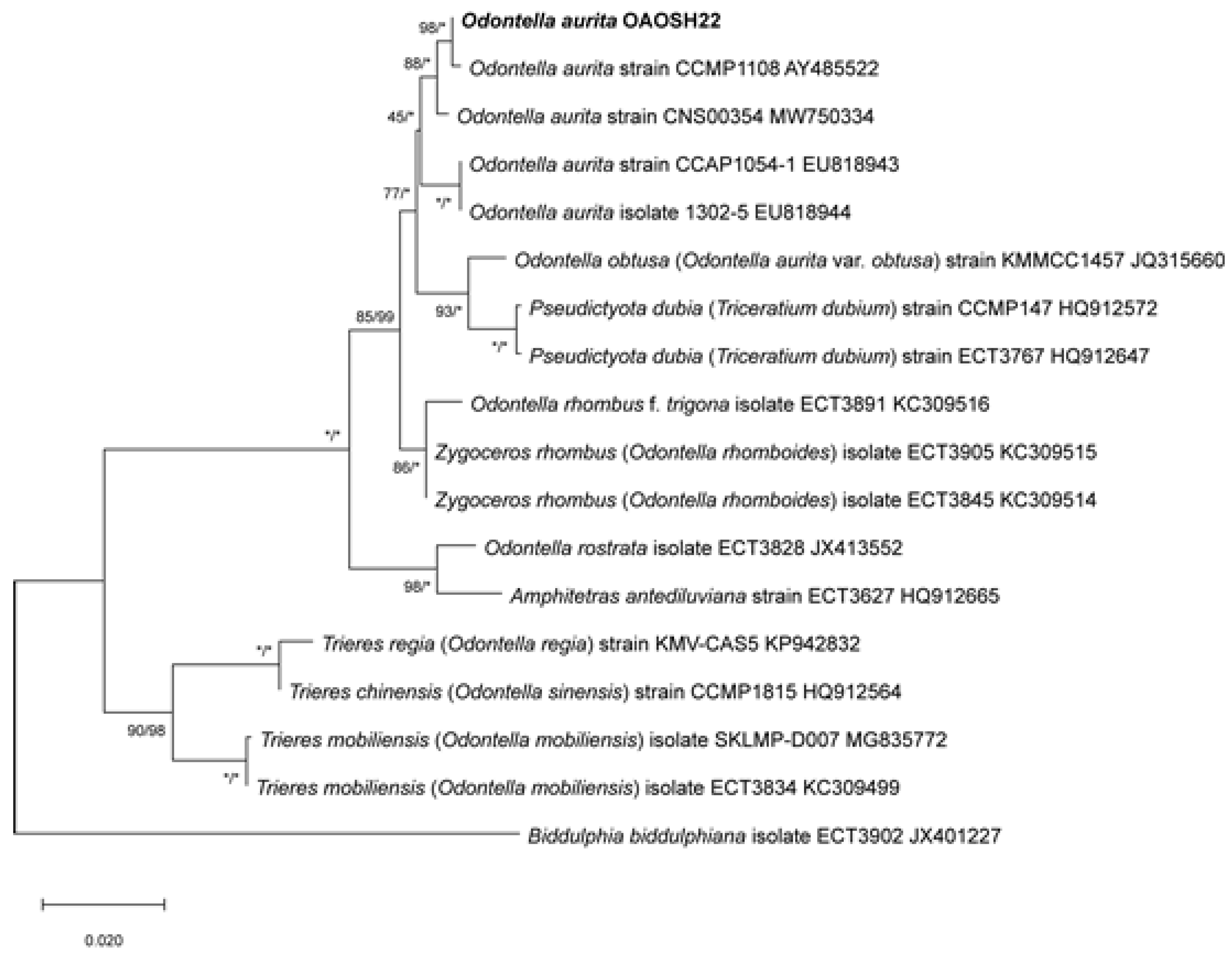 Preprints 86268 g002