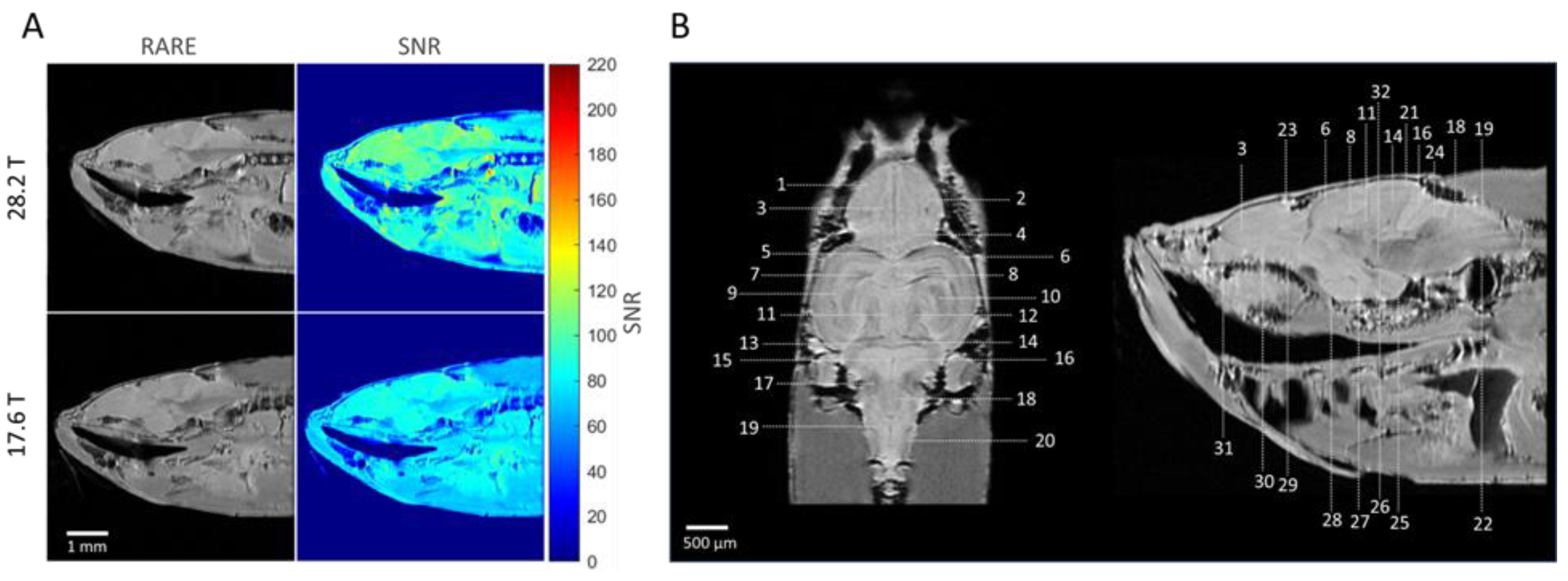 Preprints 116409 g002