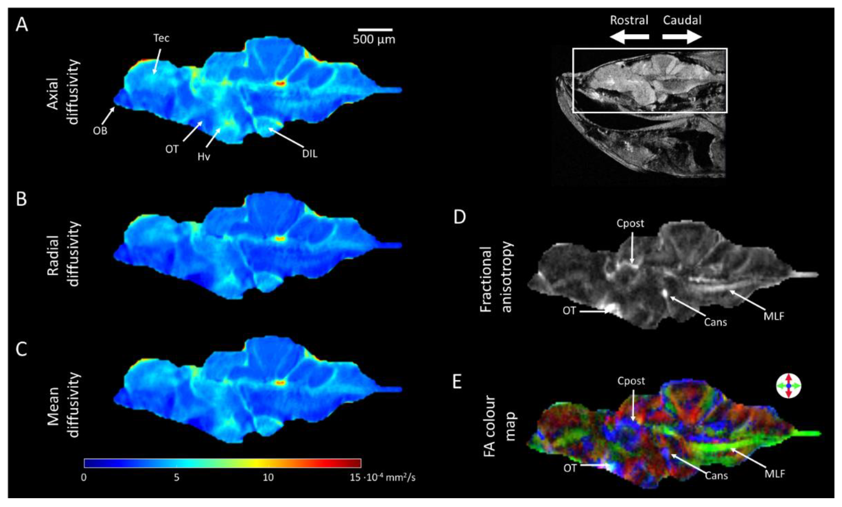 Preprints 116409 g004