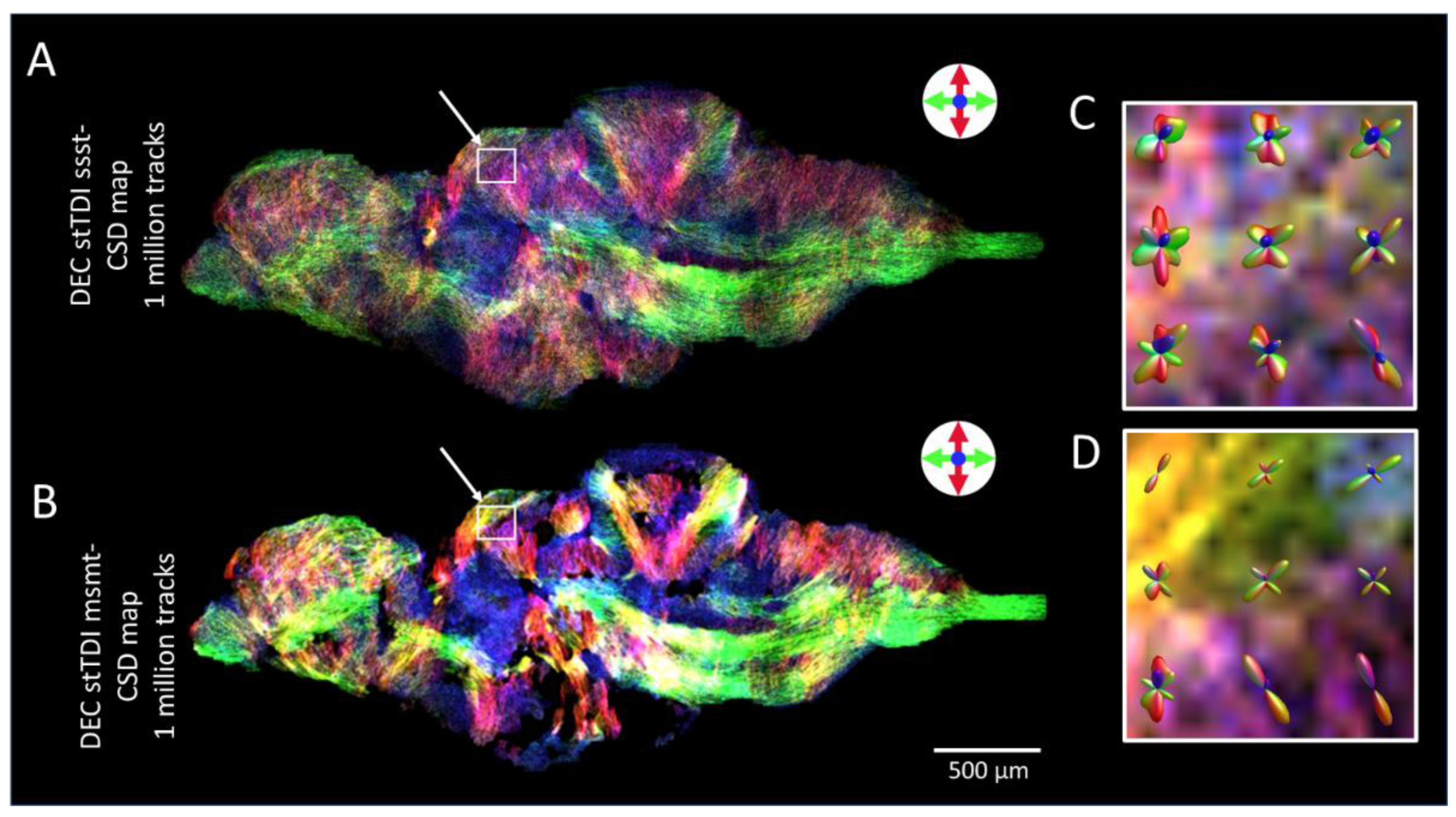 Preprints 116409 g005