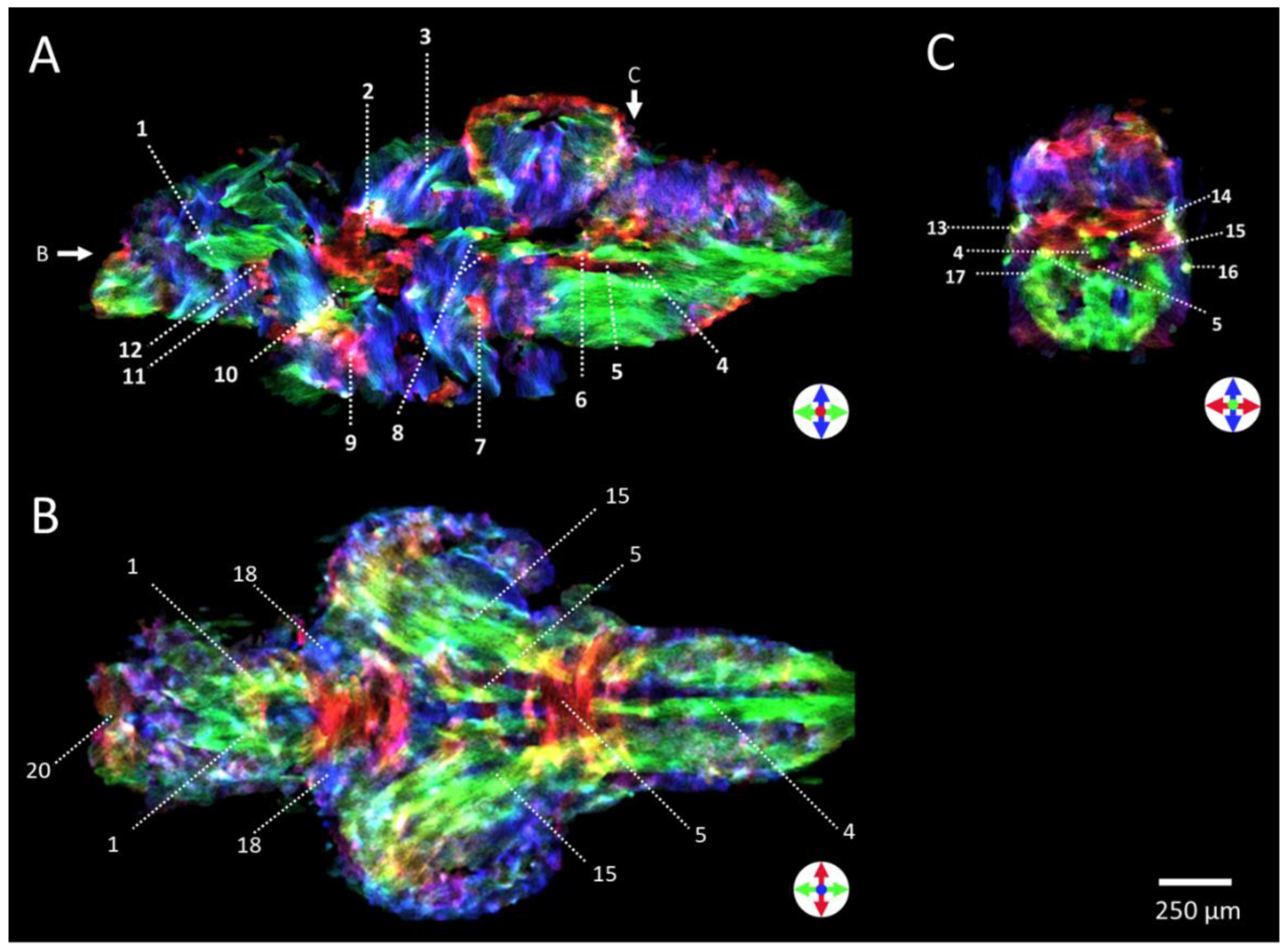 Preprints 116409 g006