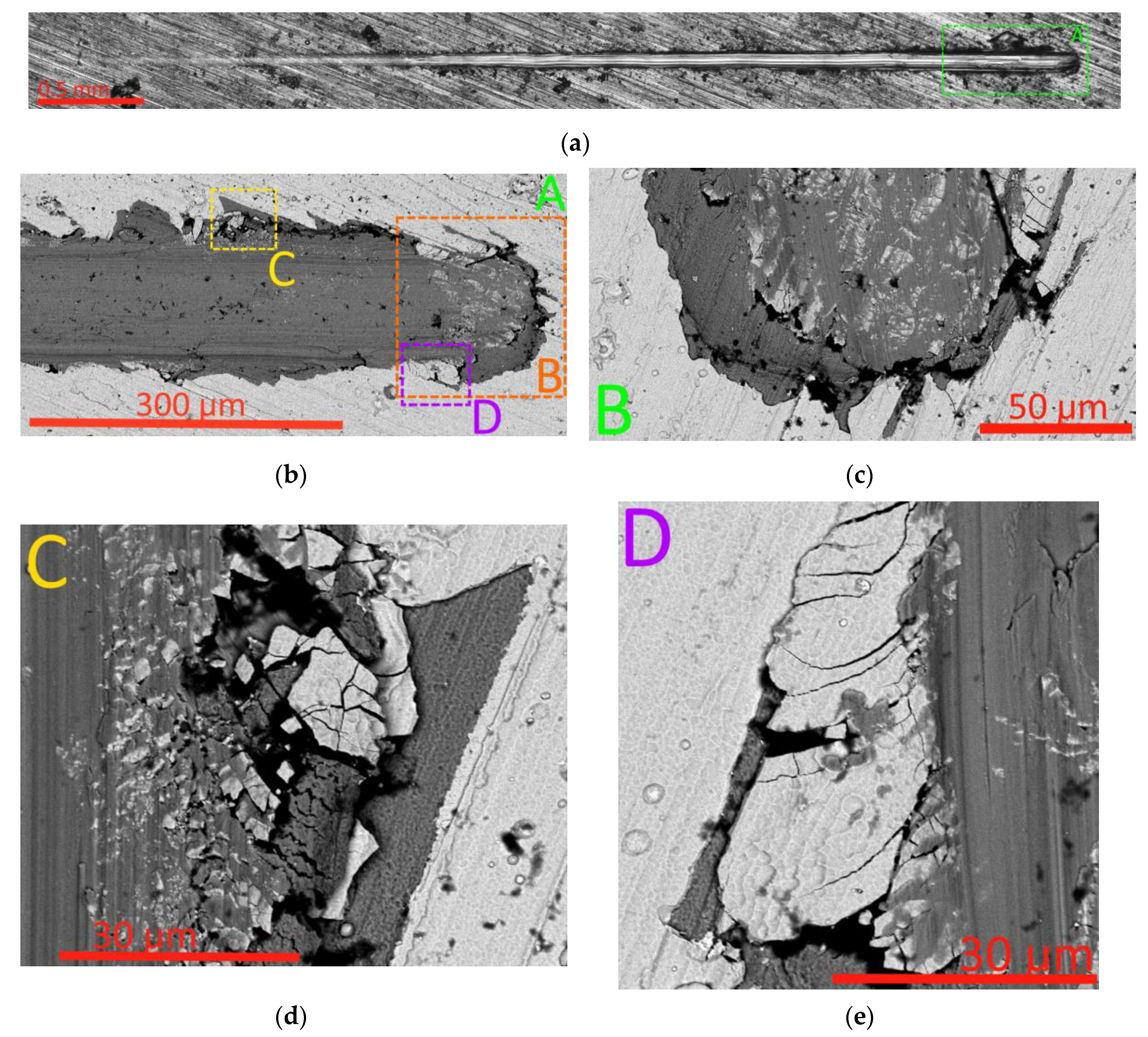 Preprints 113039 g002