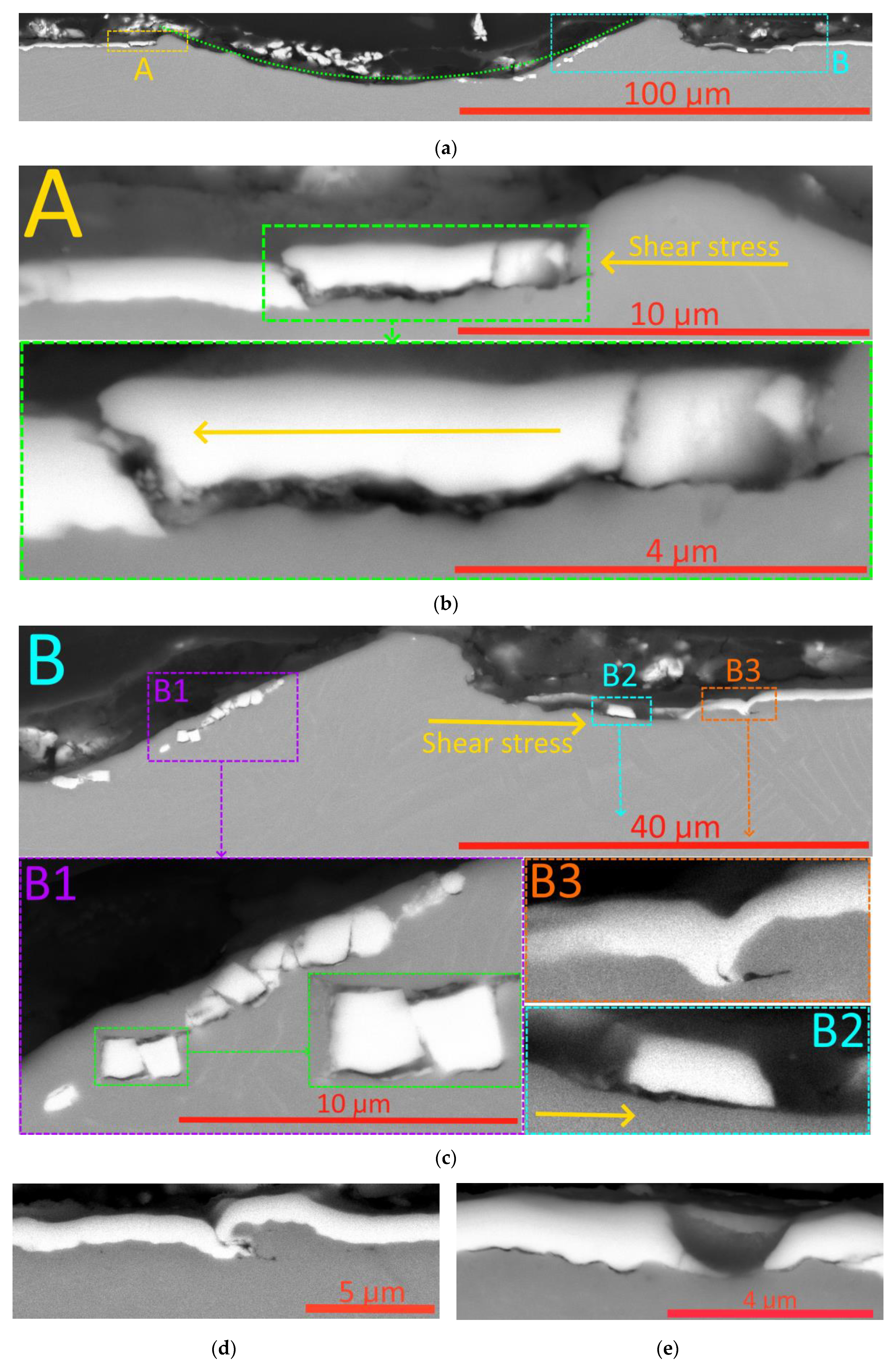 Preprints 113039 g003a