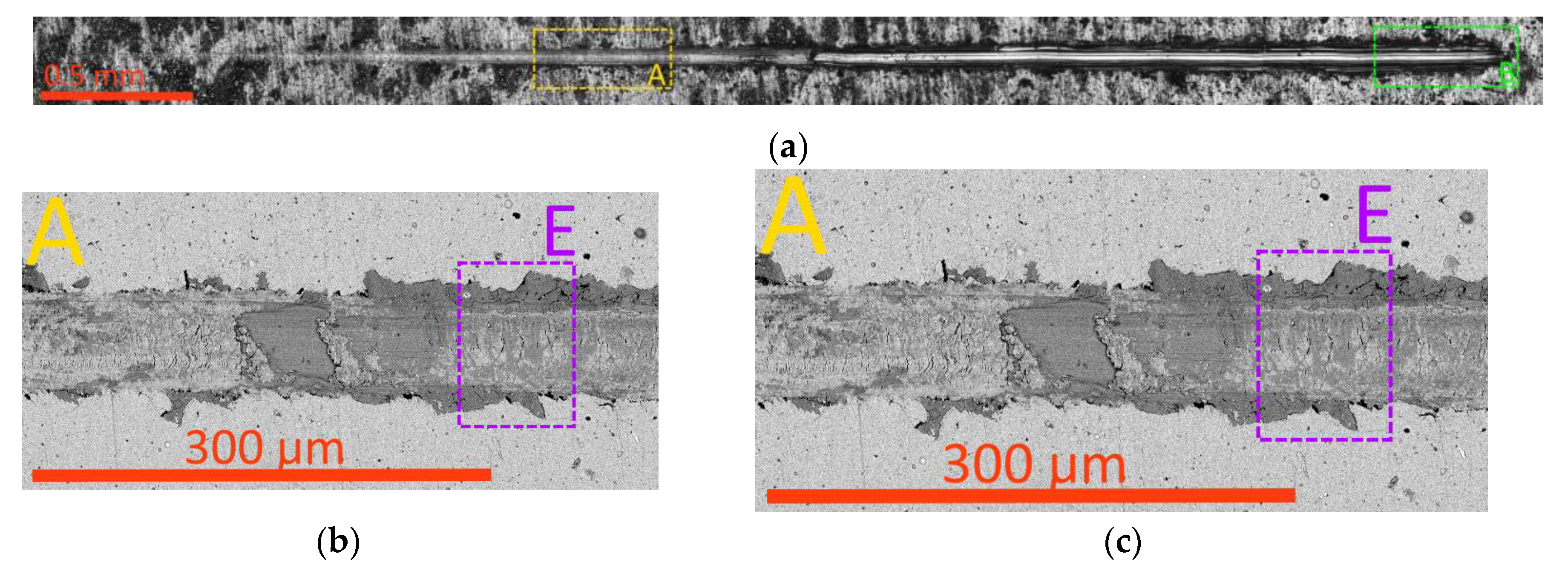 Preprints 113039 g004a