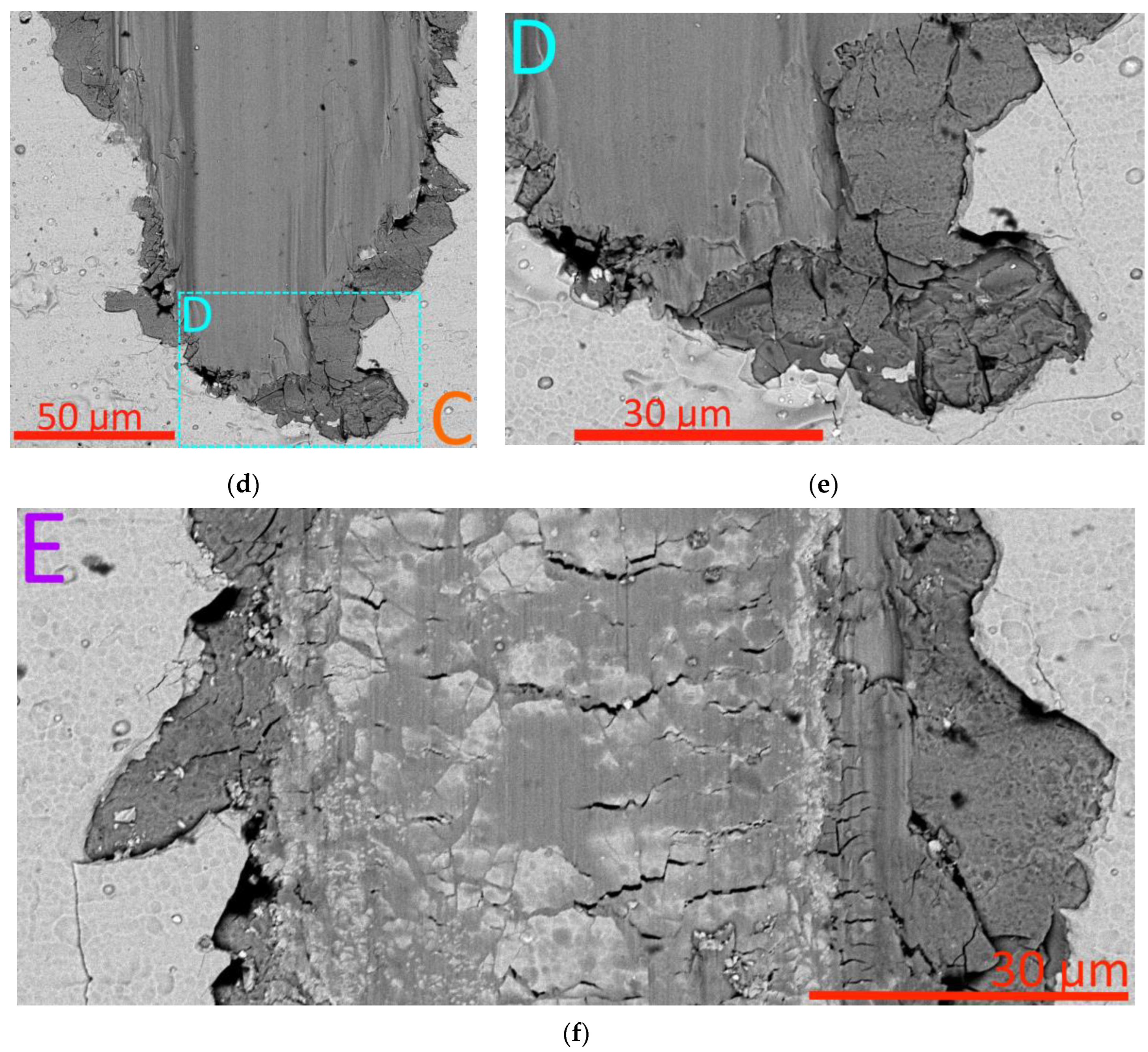 Preprints 113039 g004b