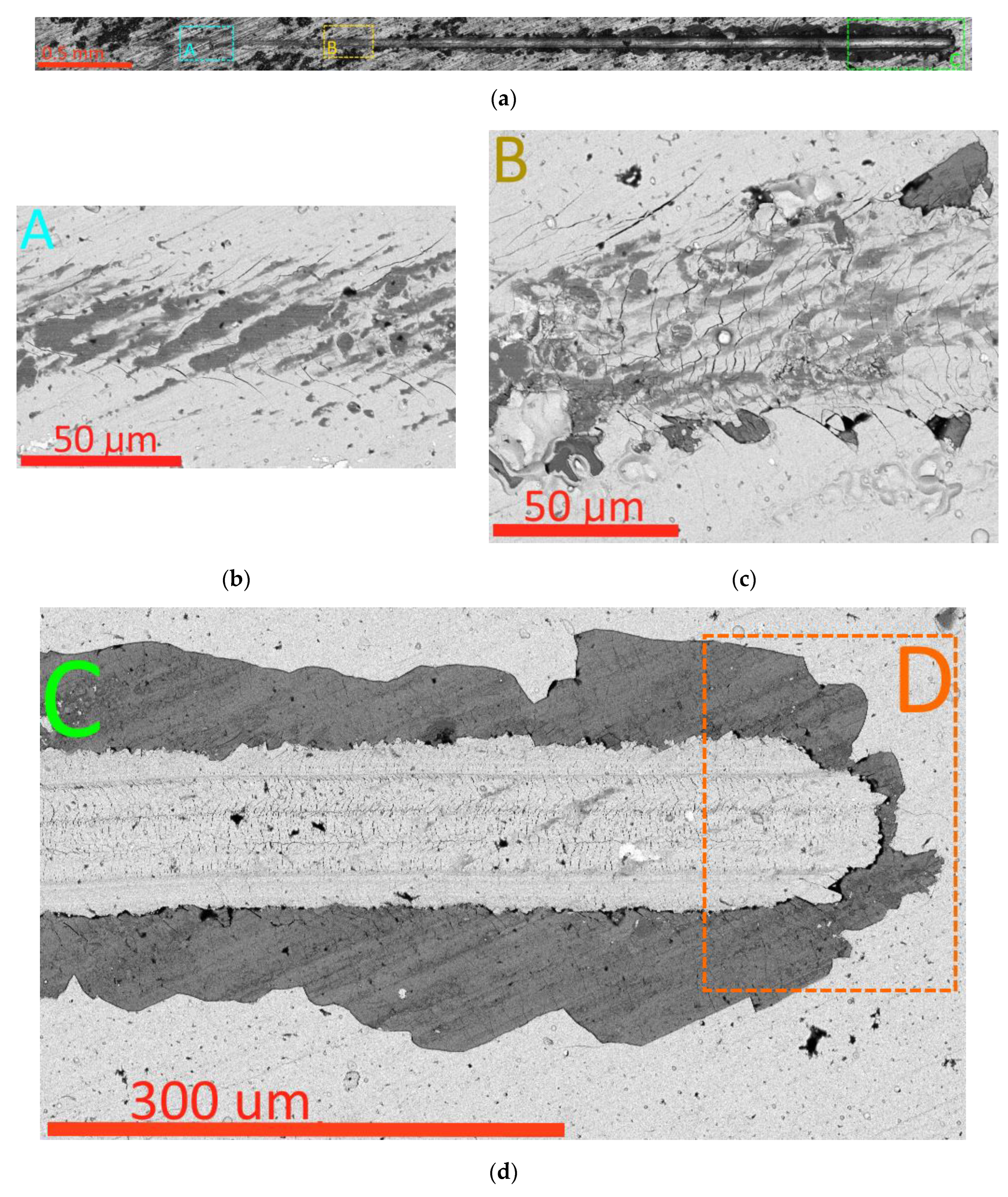 Preprints 113039 g006a