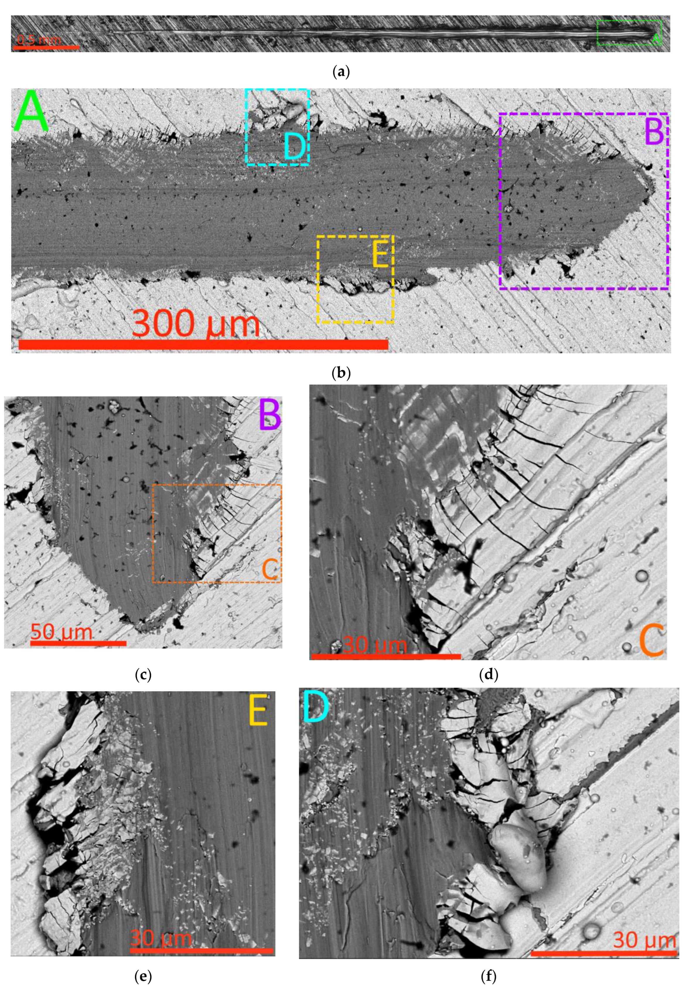 Preprints 113039 g008