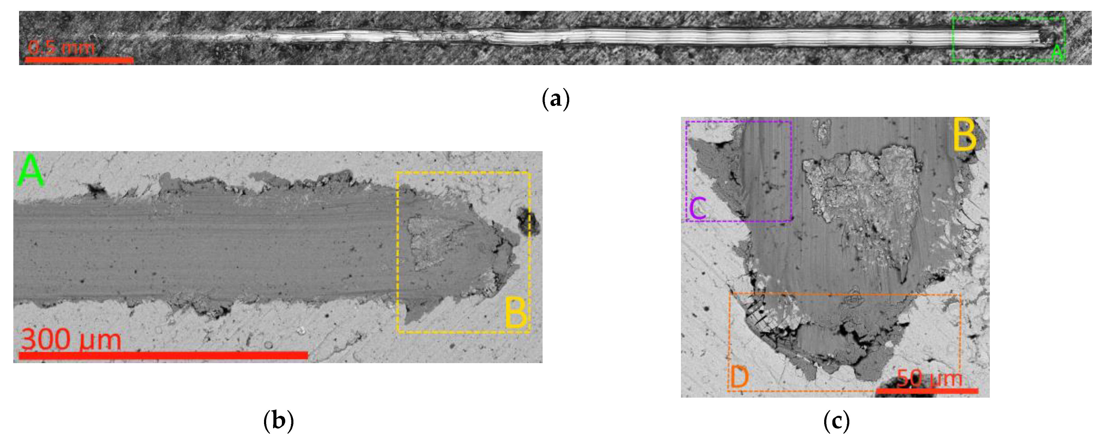 Preprints 113039 g010a