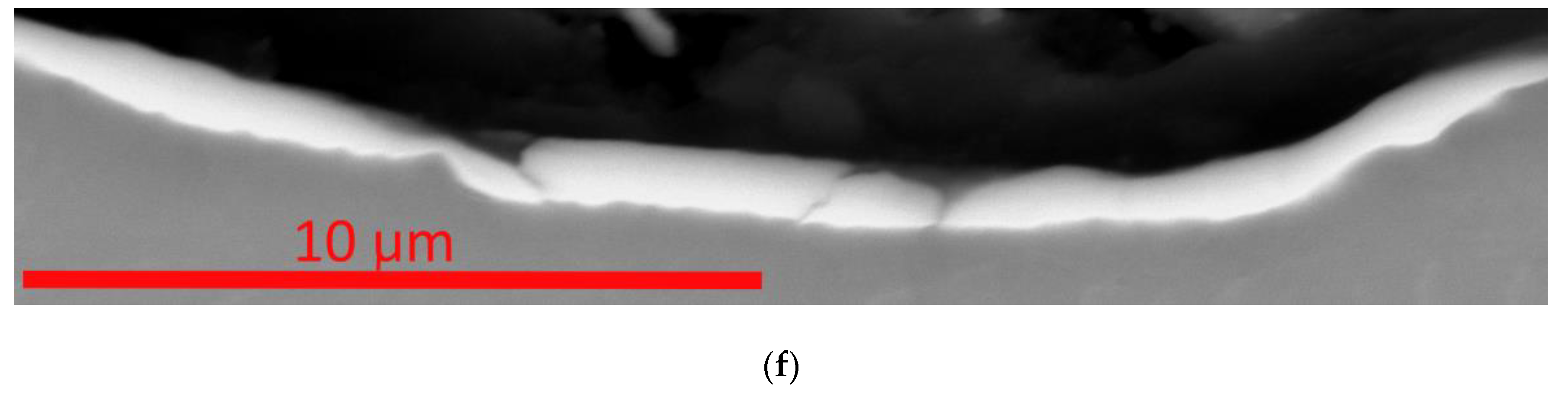 Preprints 113039 g011b