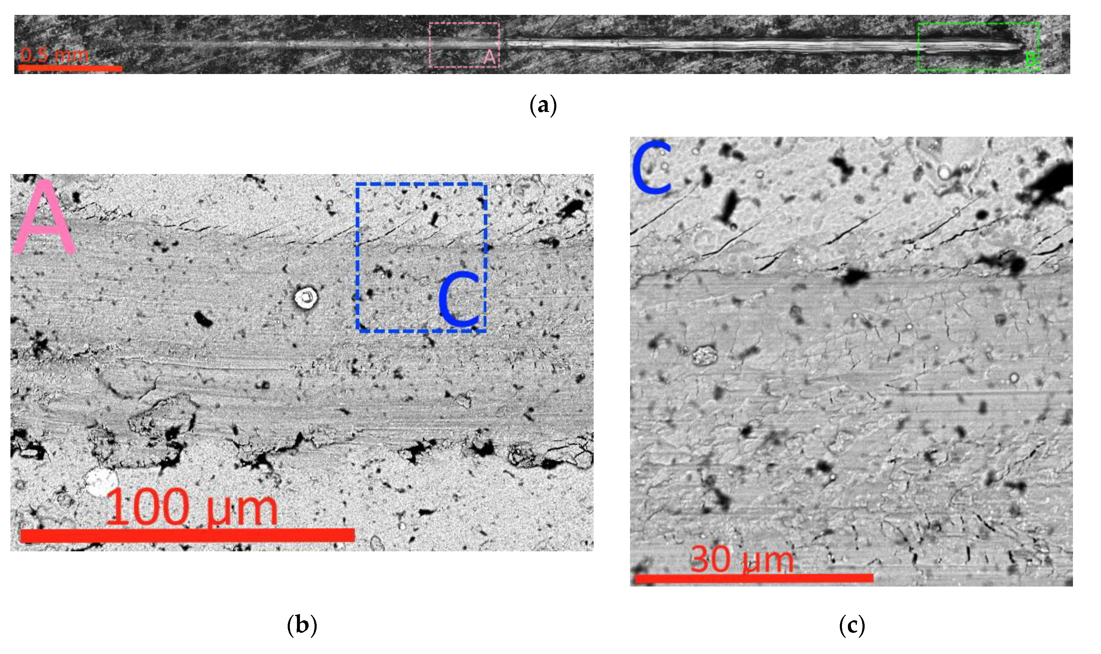 Preprints 113039 g012a