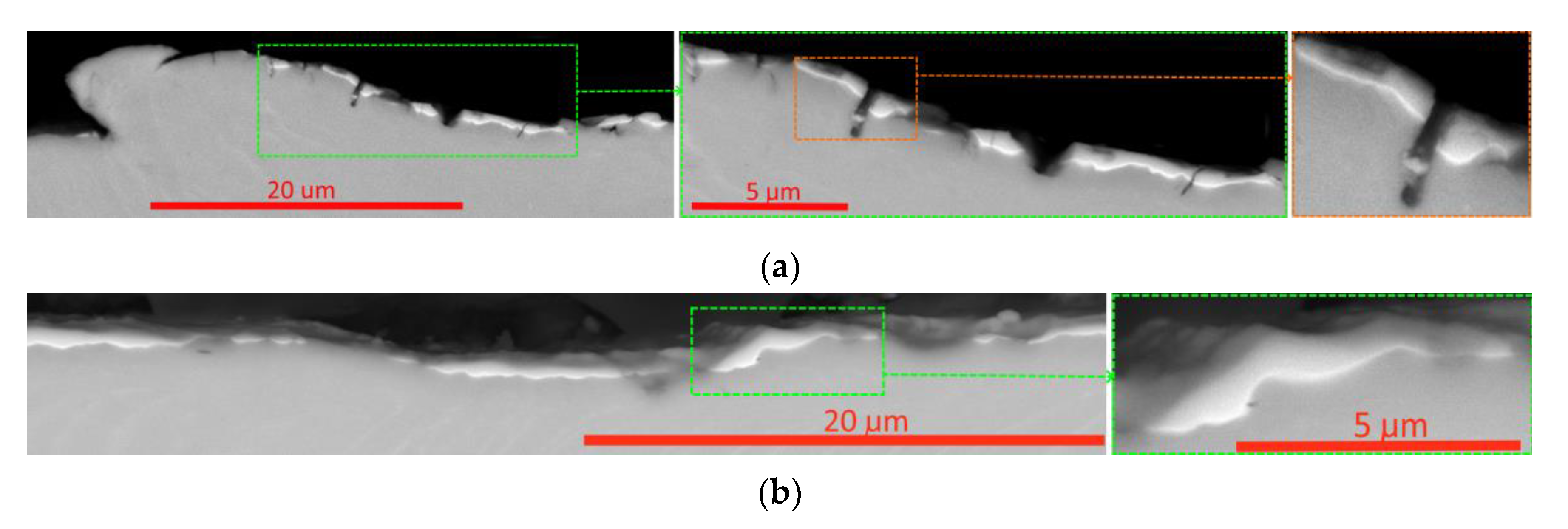 Preprints 113039 g013