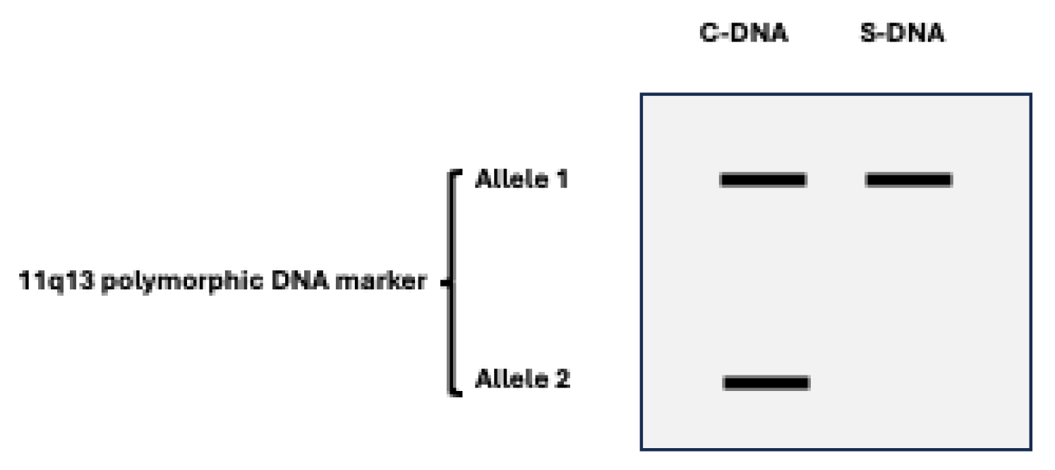 Preprints 119721 g003