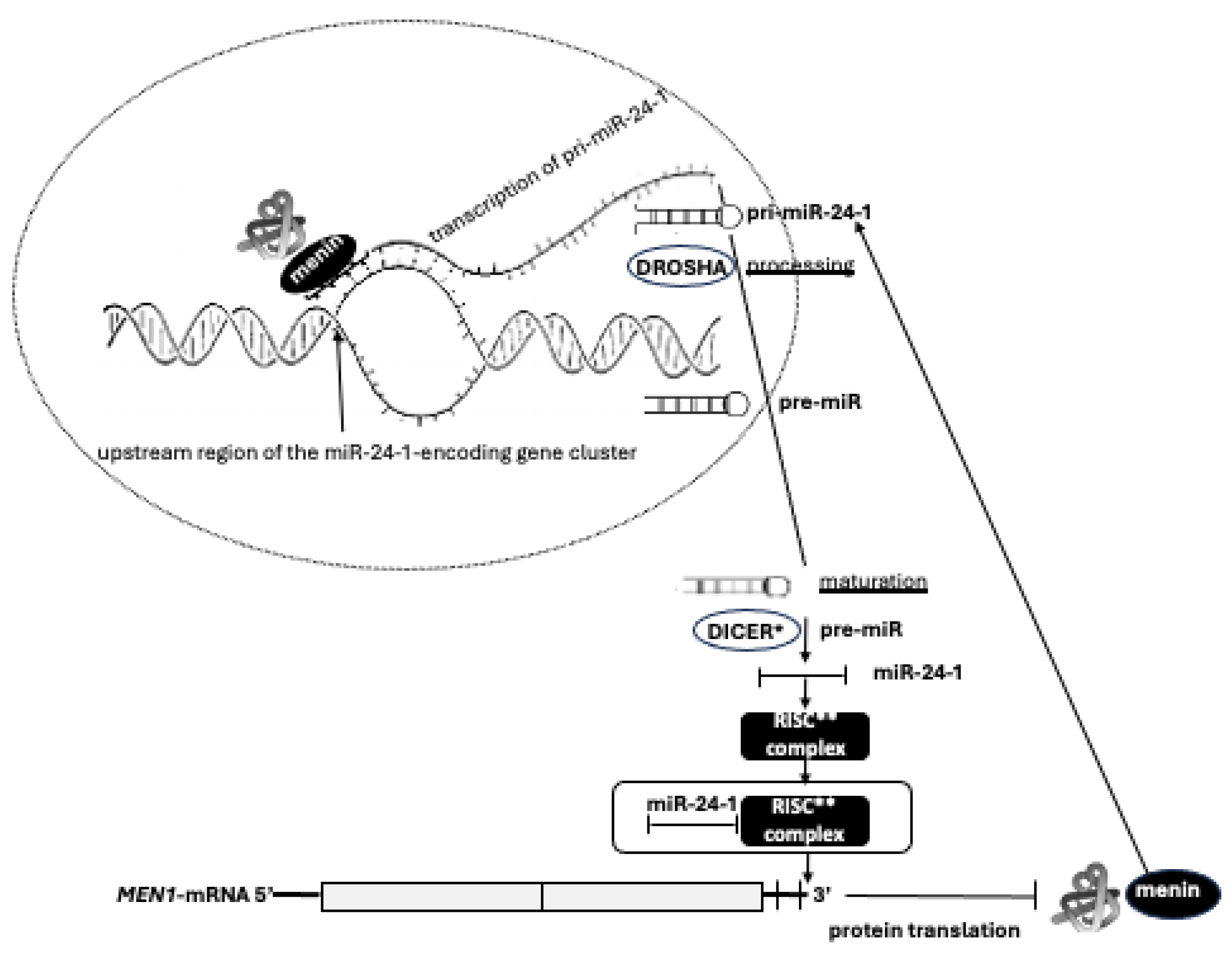 Preprints 119721 g004