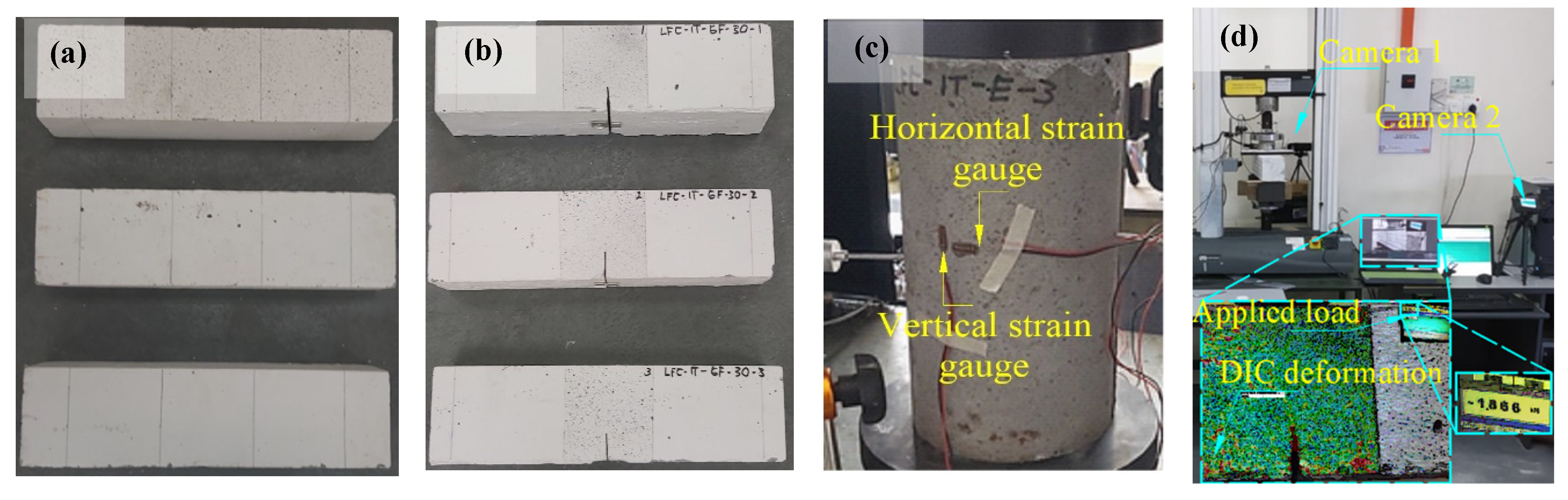 Preprints 76268 g003