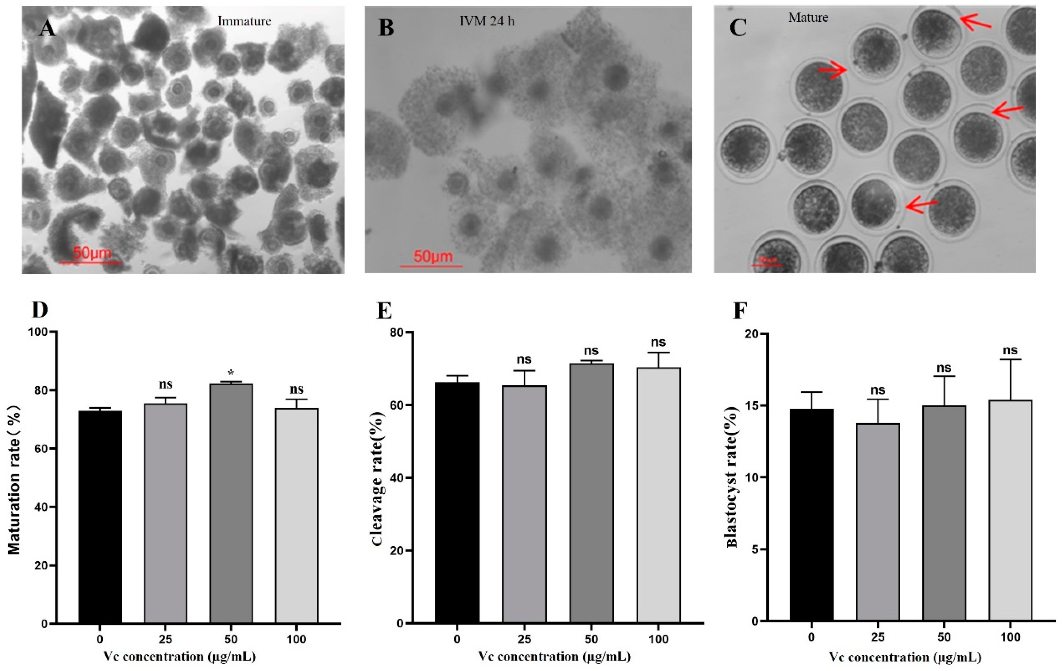 Preprints 108632 g001