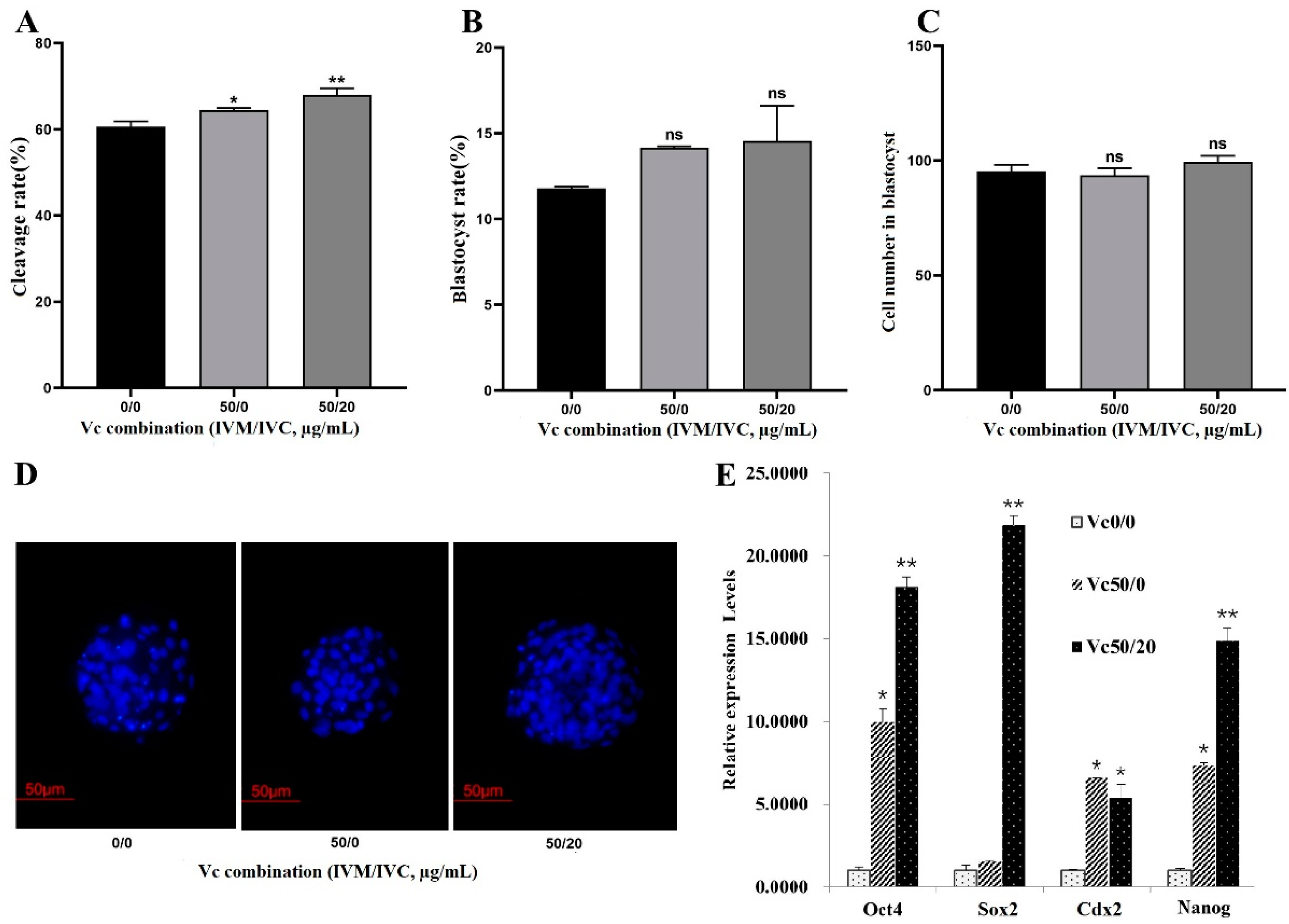 Preprints 108632 g003