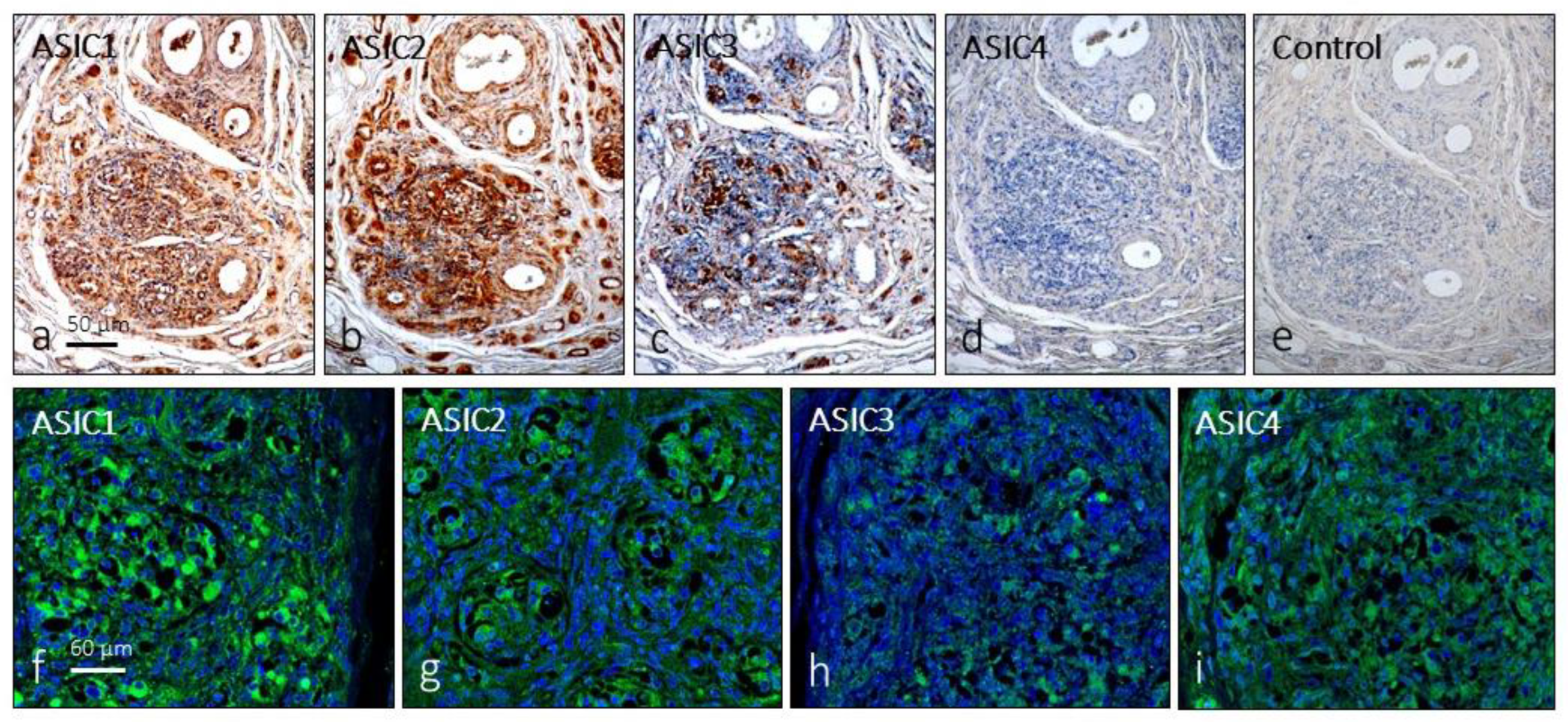 Preprints 90766 g001