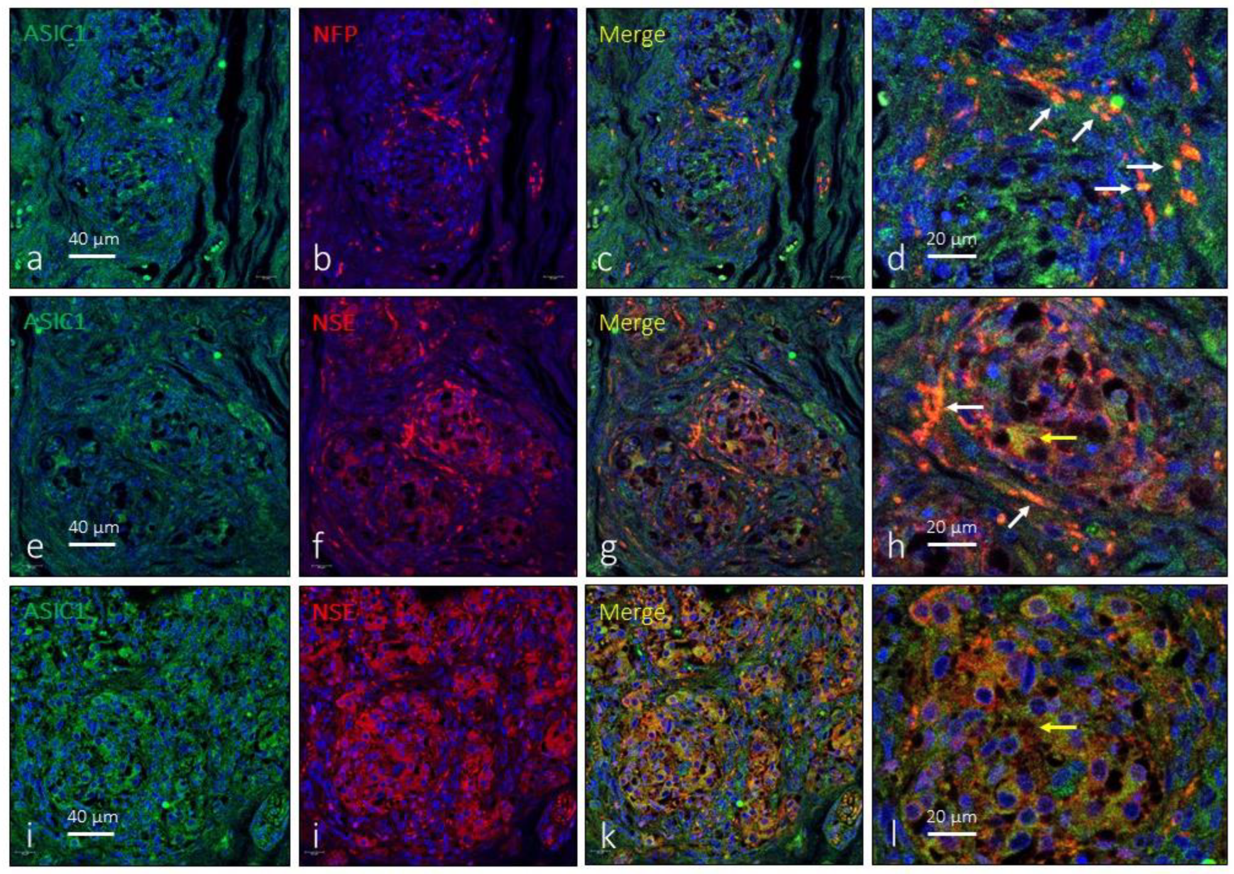 Preprints 90766 g002