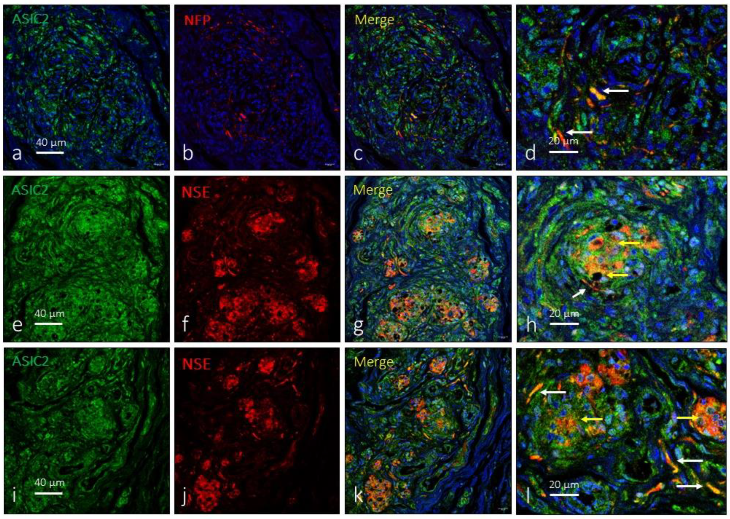 Preprints 90766 g003