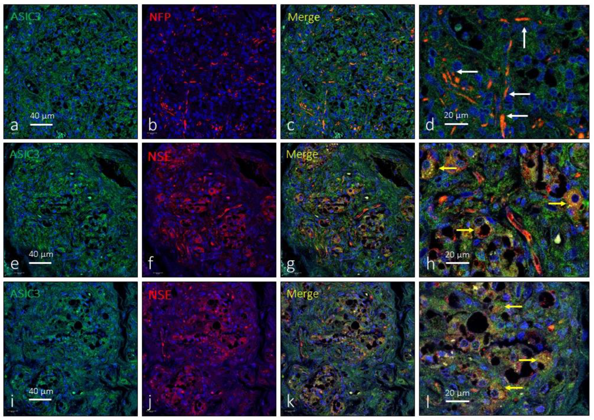 Preprints 90766 g004