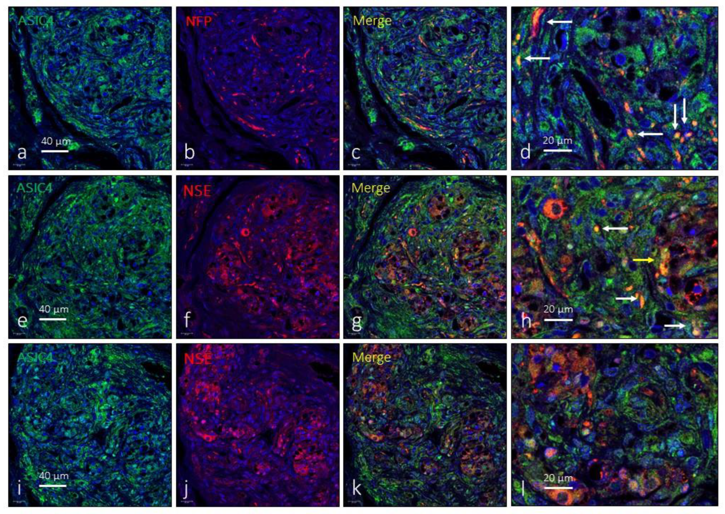 Preprints 90766 g005