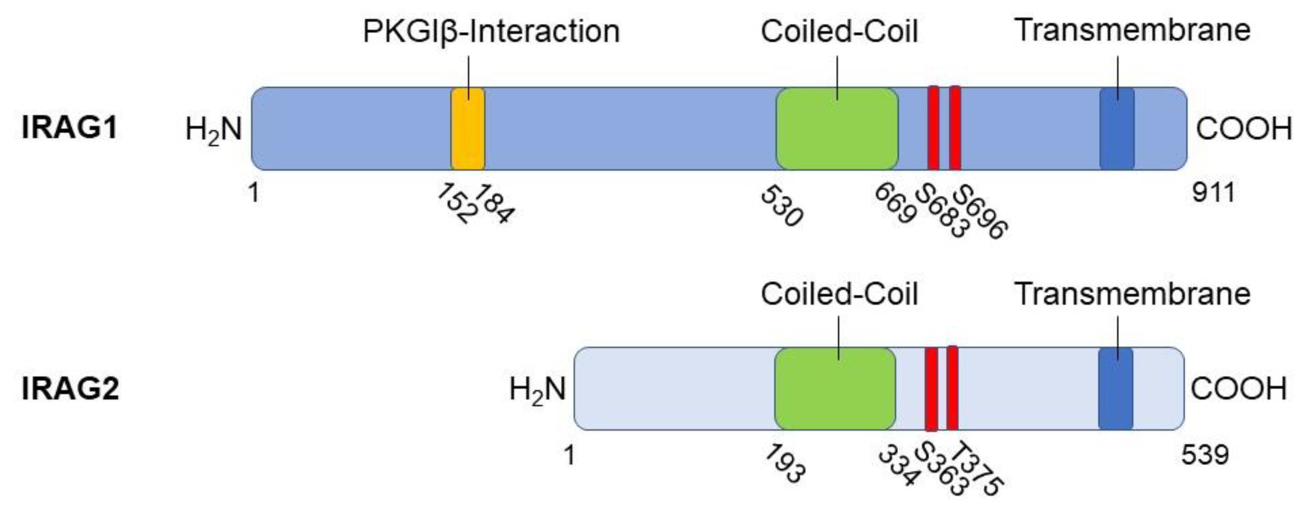 Preprints 73809 g001