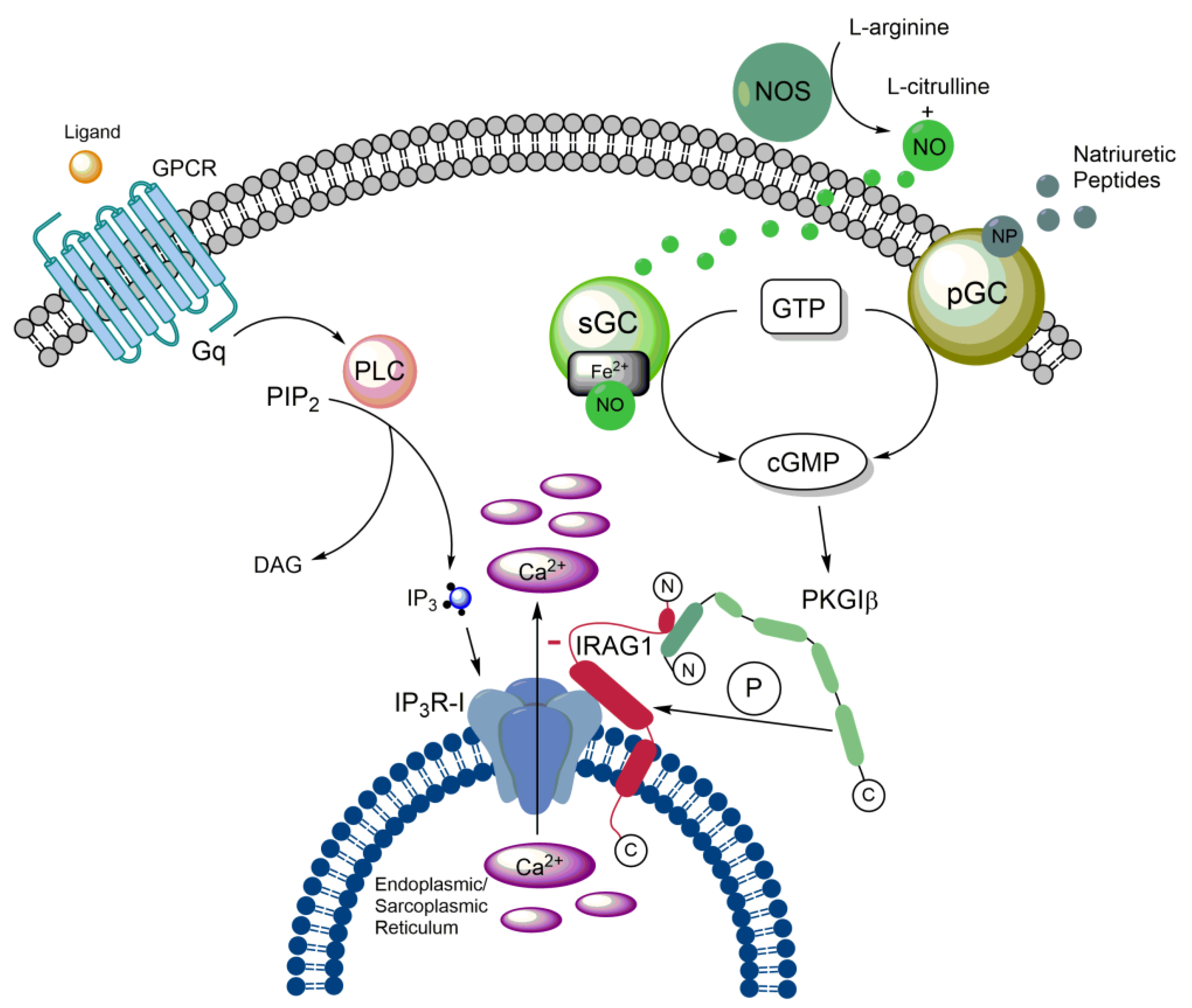 Preprints 73809 g002