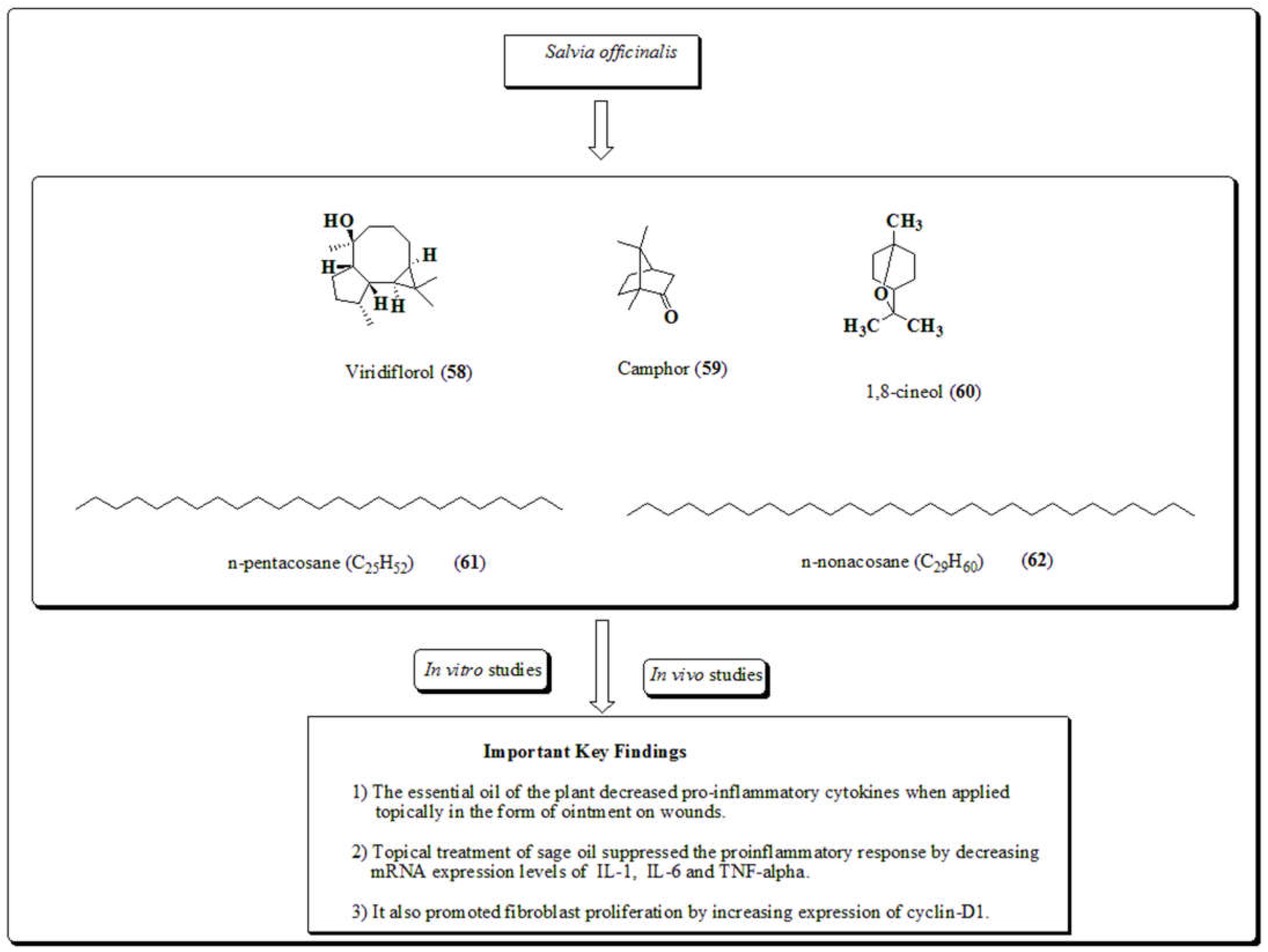 Preprints 69342 g015