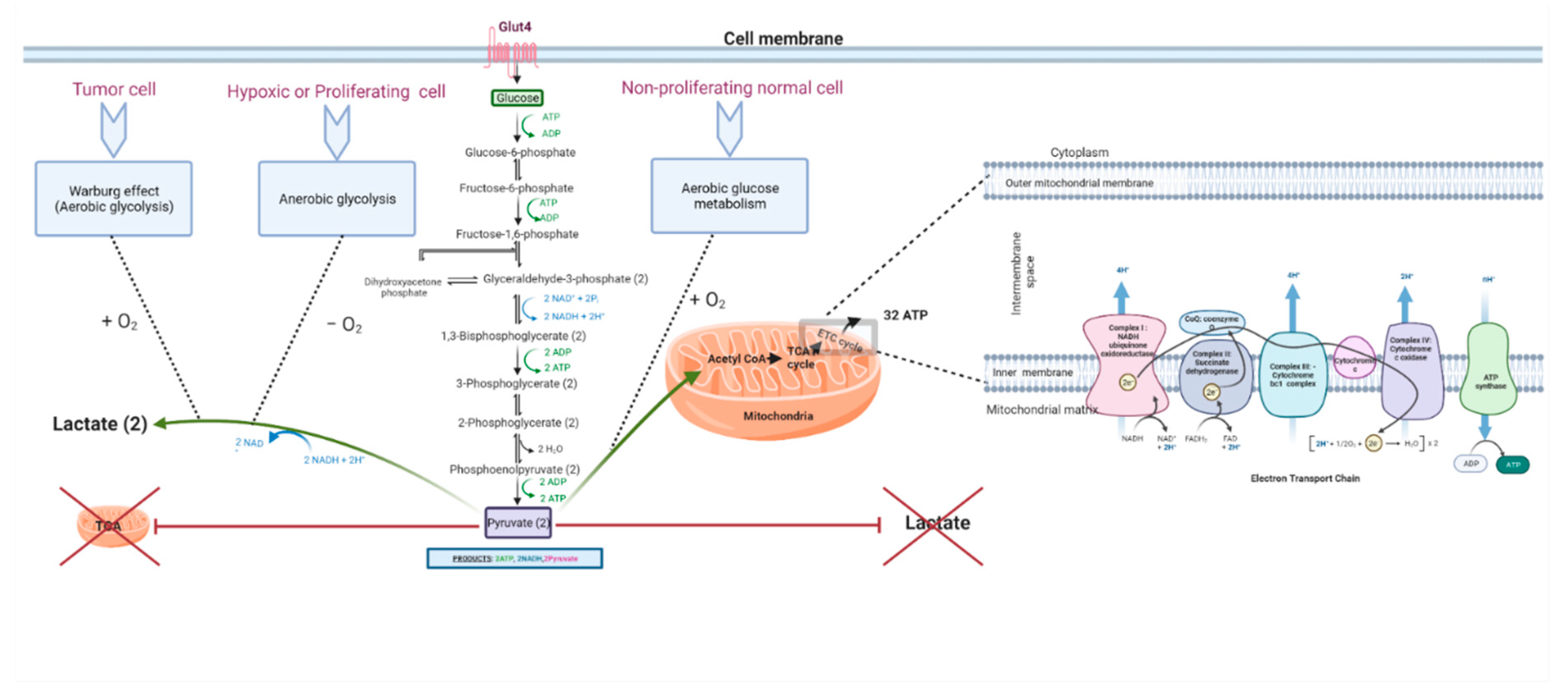 Preprints 93095 g001