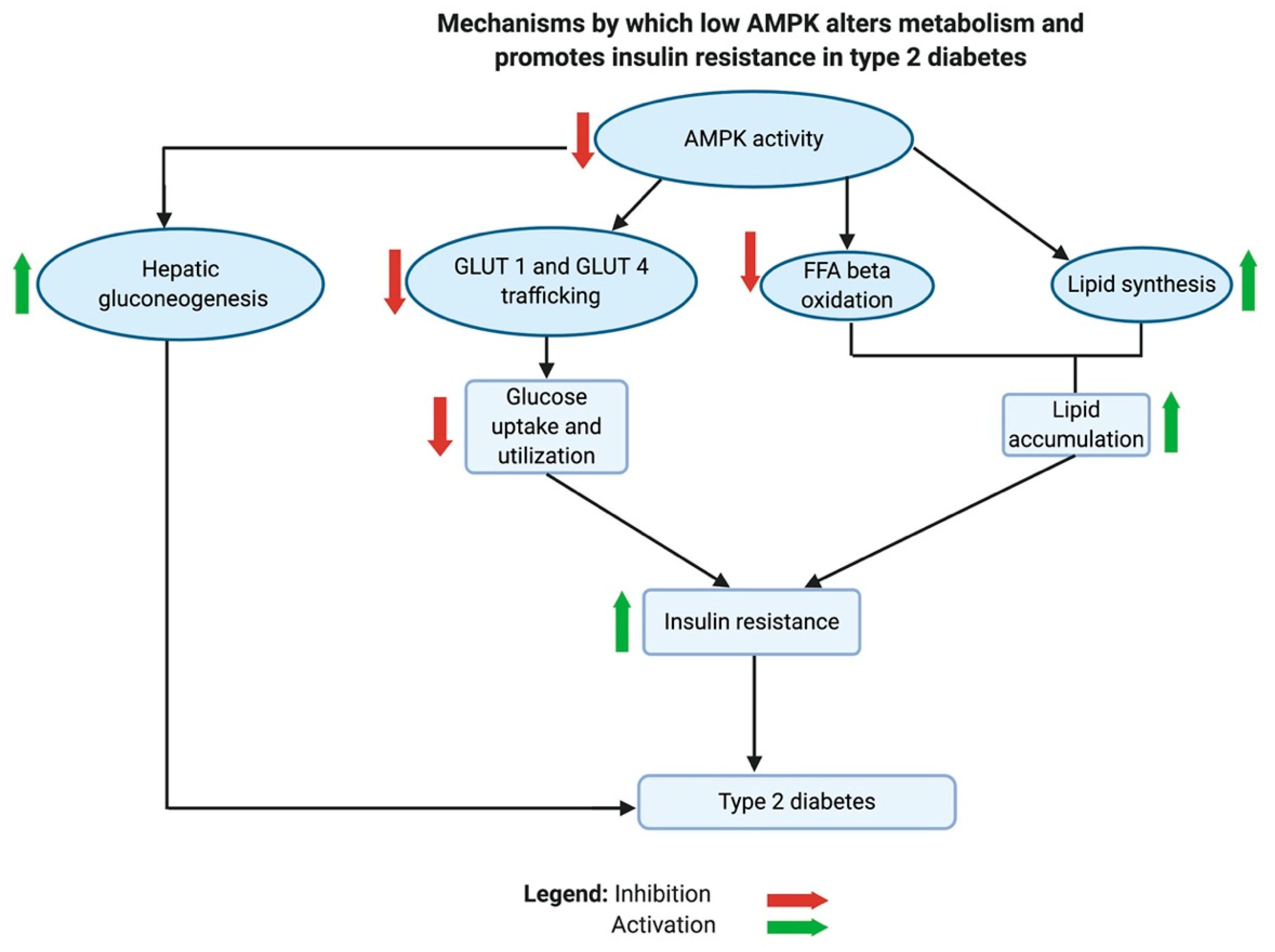 Preprints 93095 g006