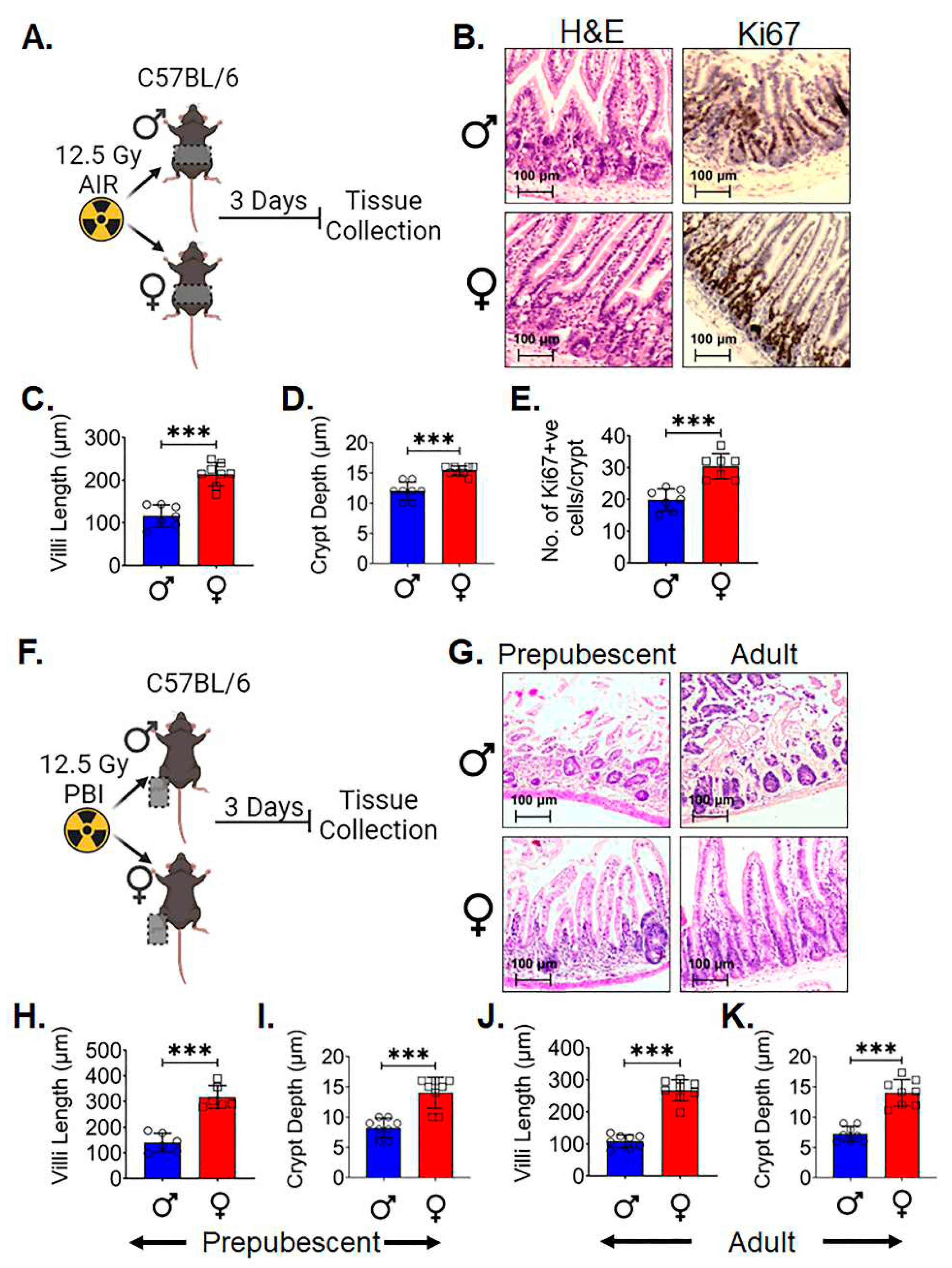 Preprints 90532 g001