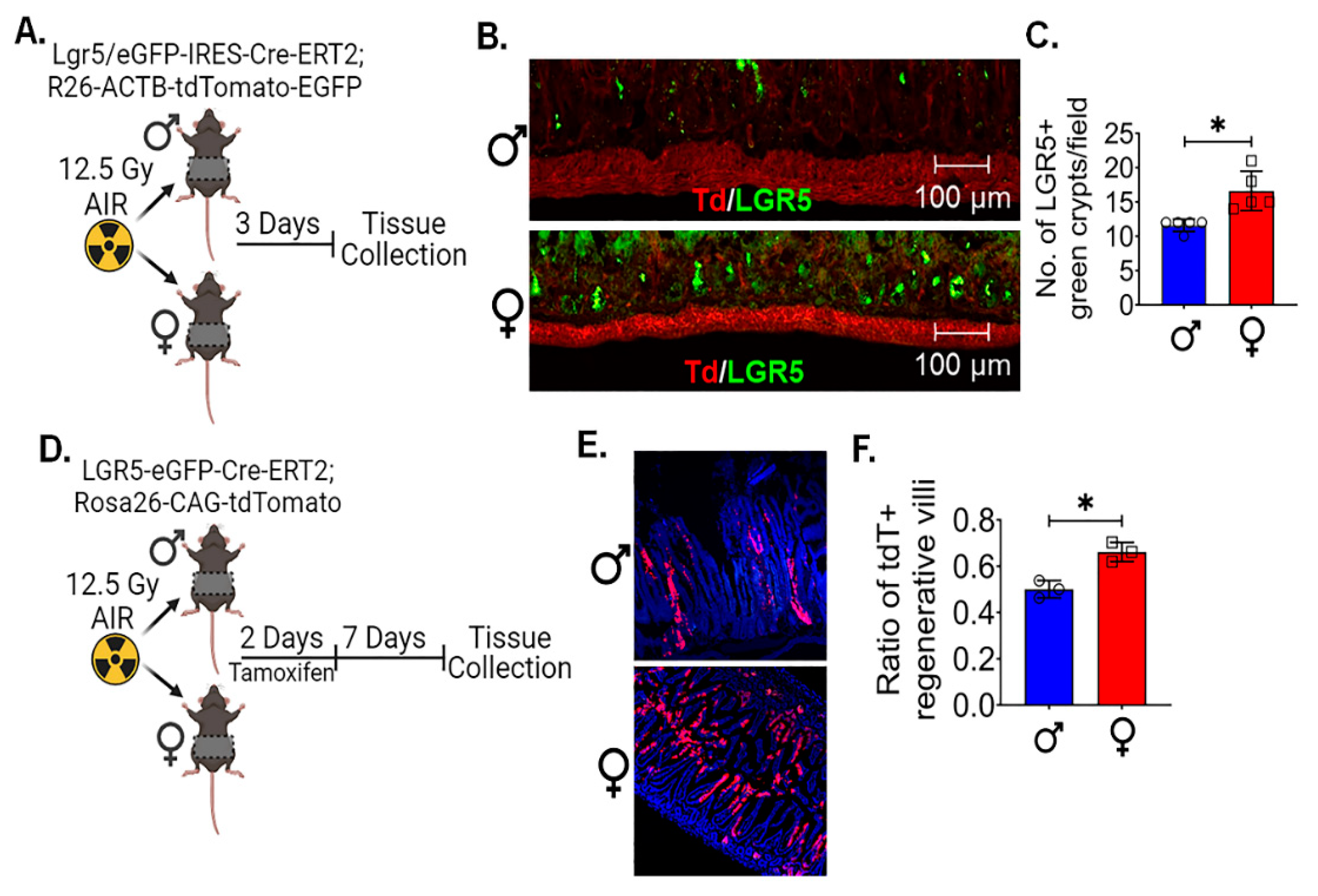 Preprints 90532 g002