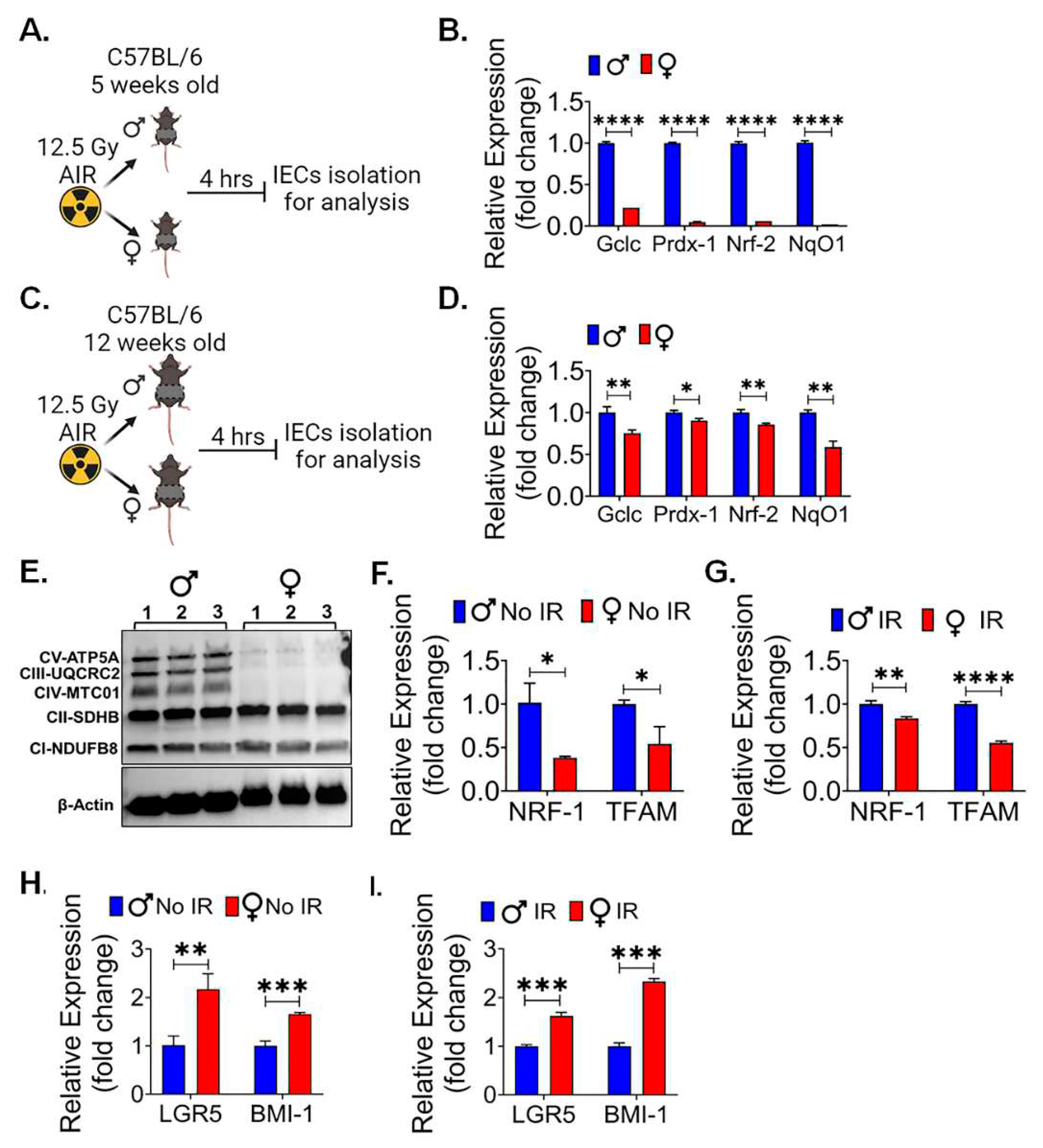 Preprints 90532 g003