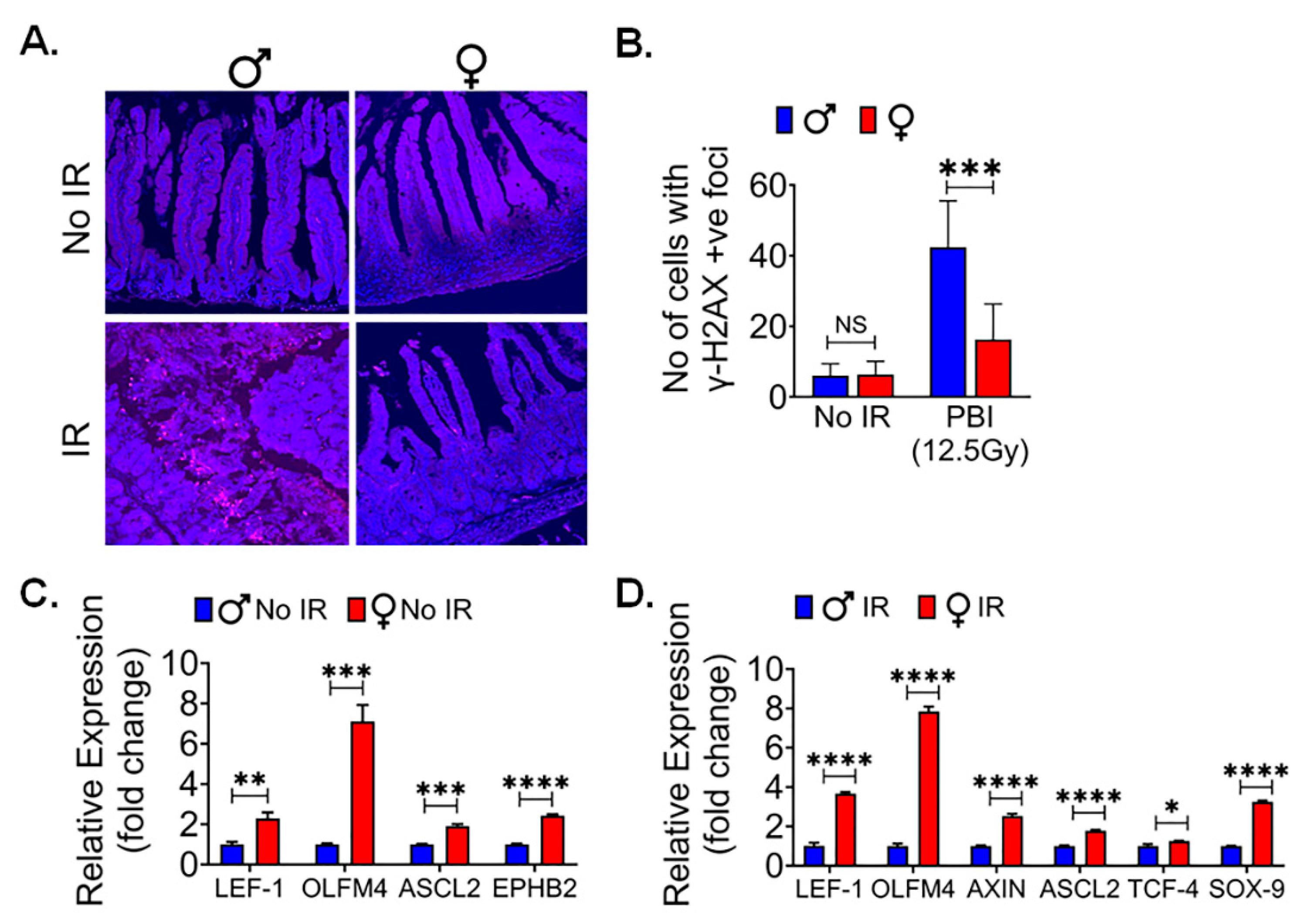 Preprints 90532 g004