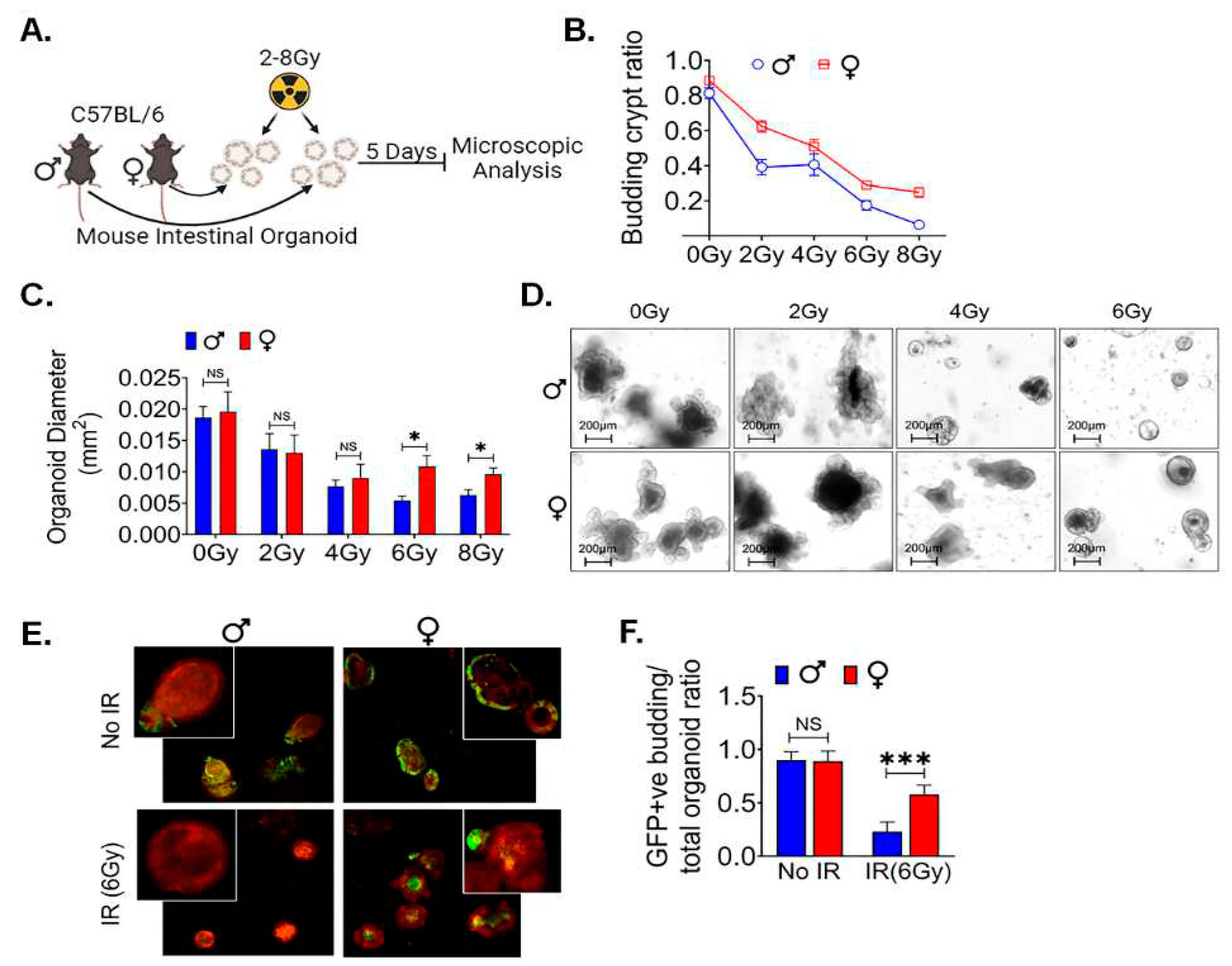 Preprints 90532 g005