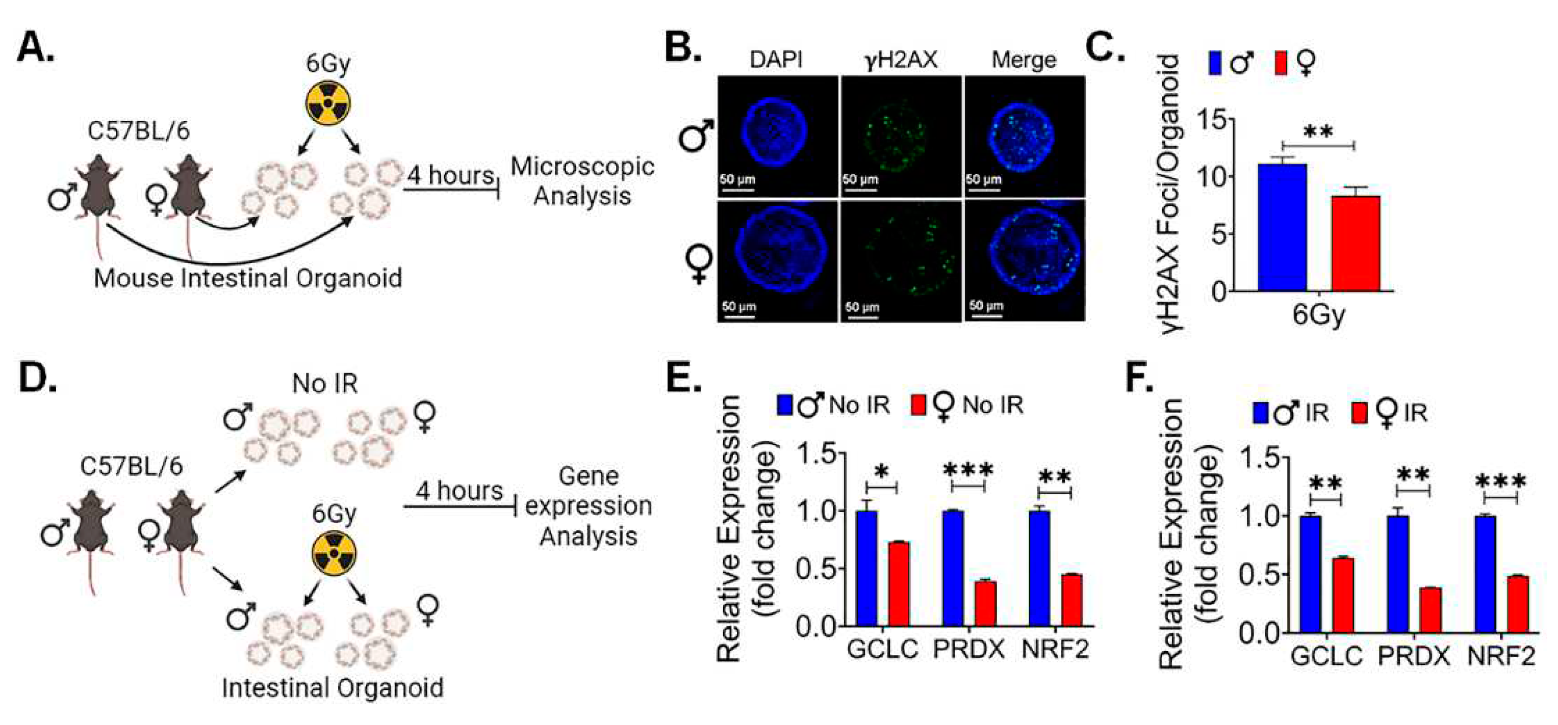 Preprints 90532 g006