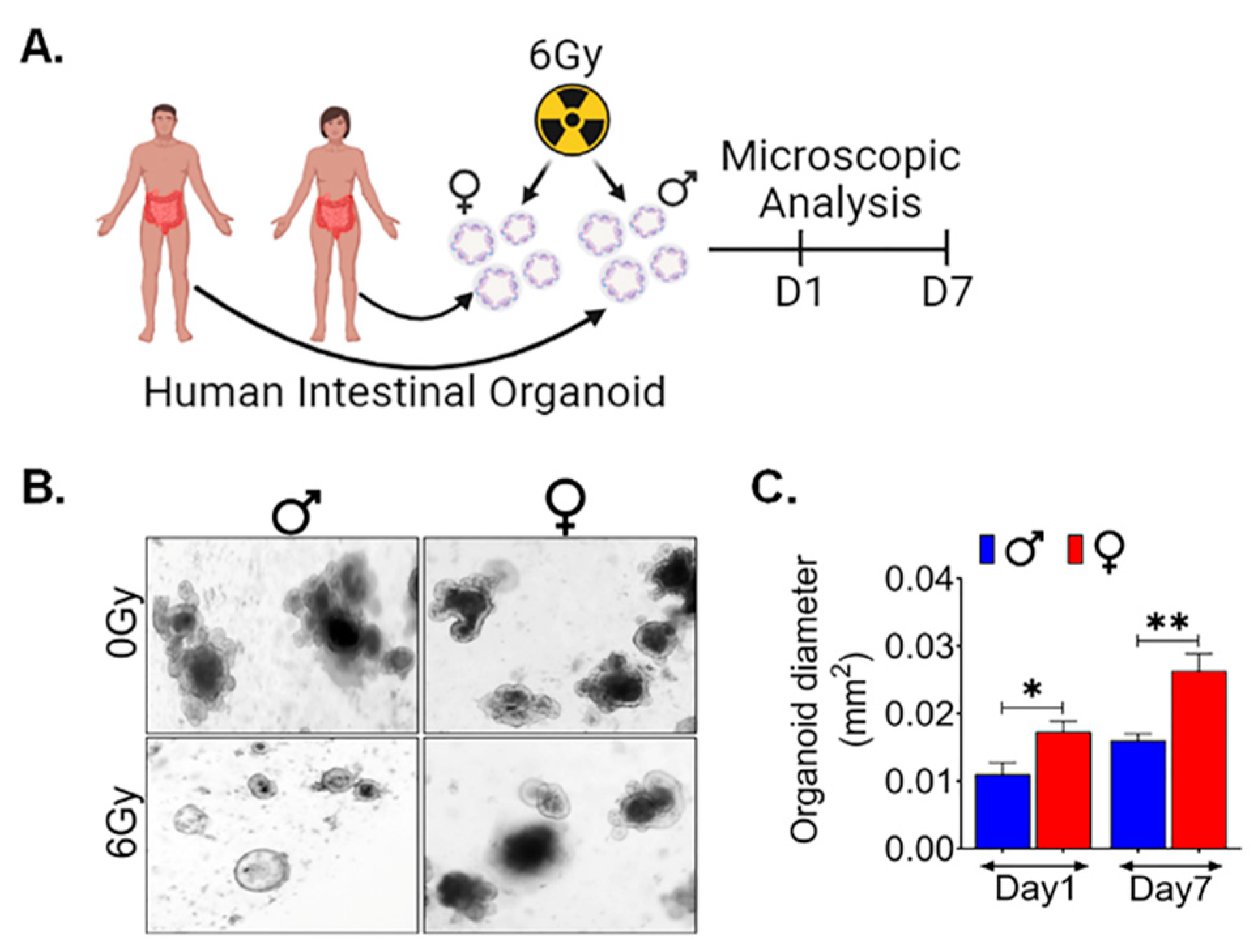 Preprints 90532 g007