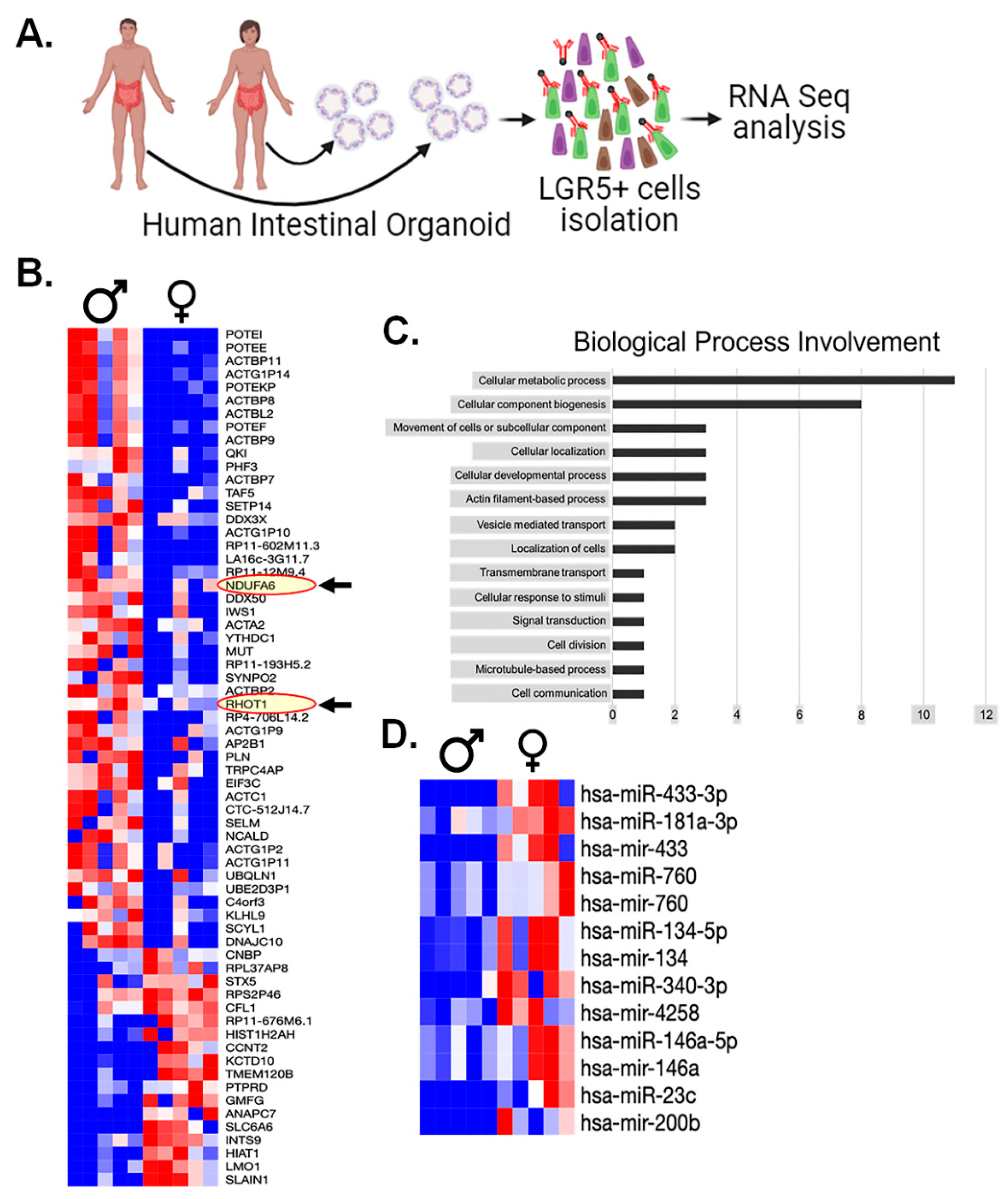 Preprints 90532 g008