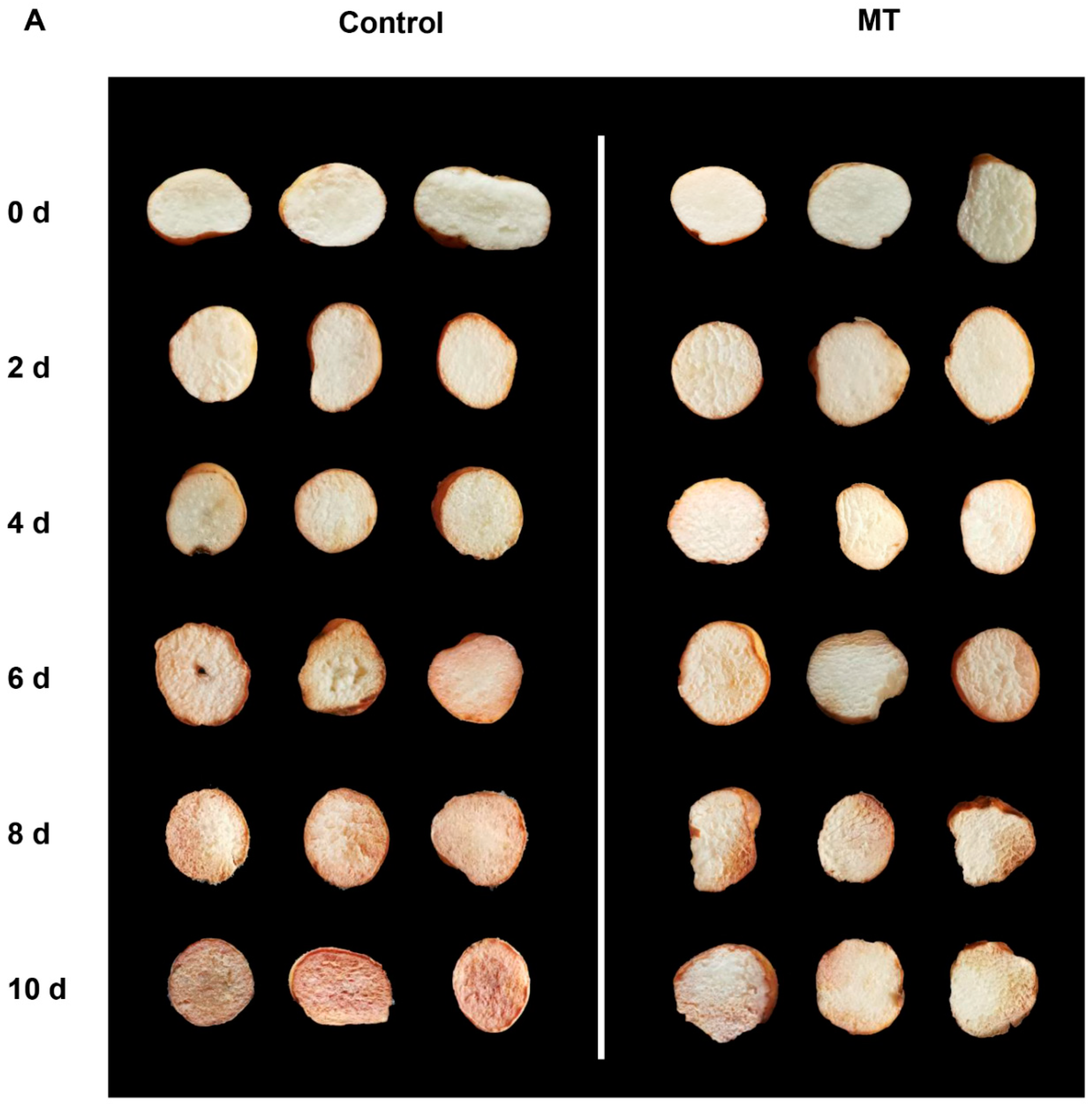 Preprints 83162 g001